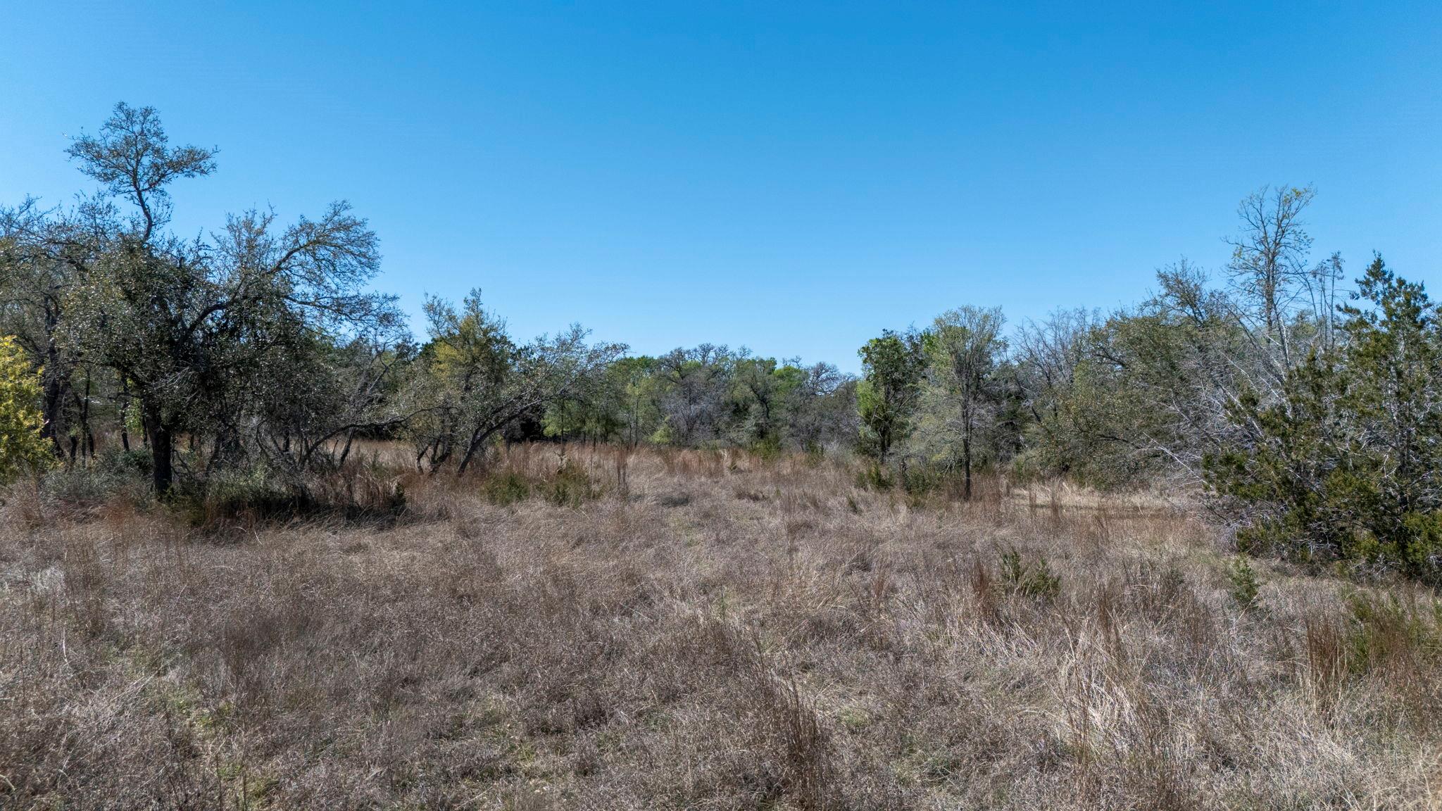 453 Nameless Rd, Driftwood, TX 78619