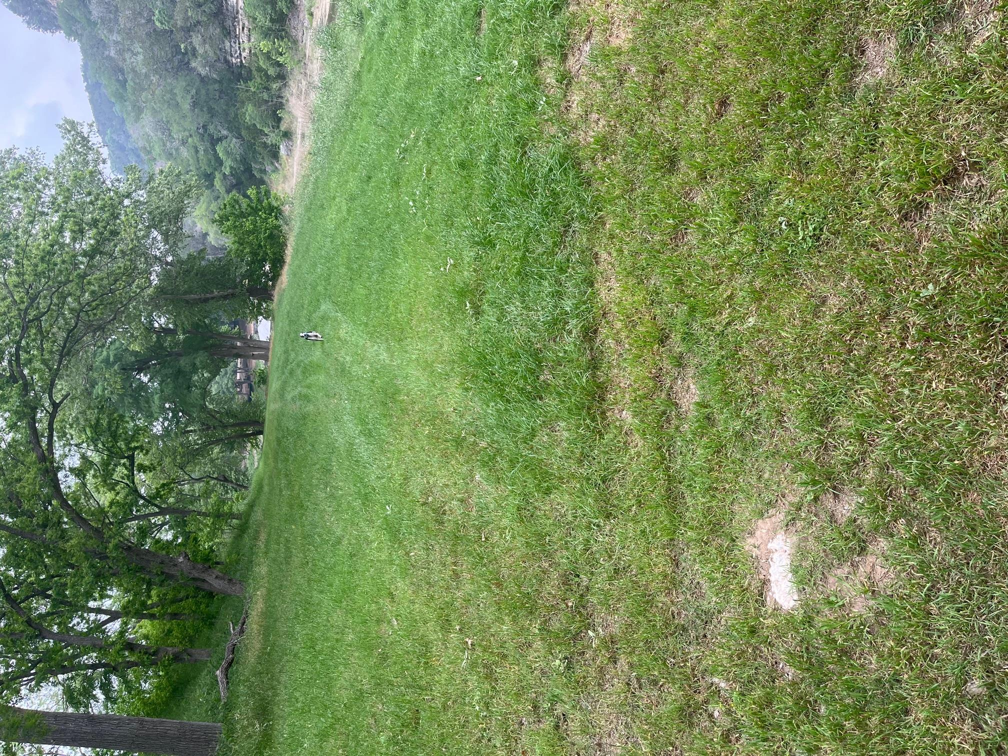 865 Bingham Ln, New Braunfels, TX 78132