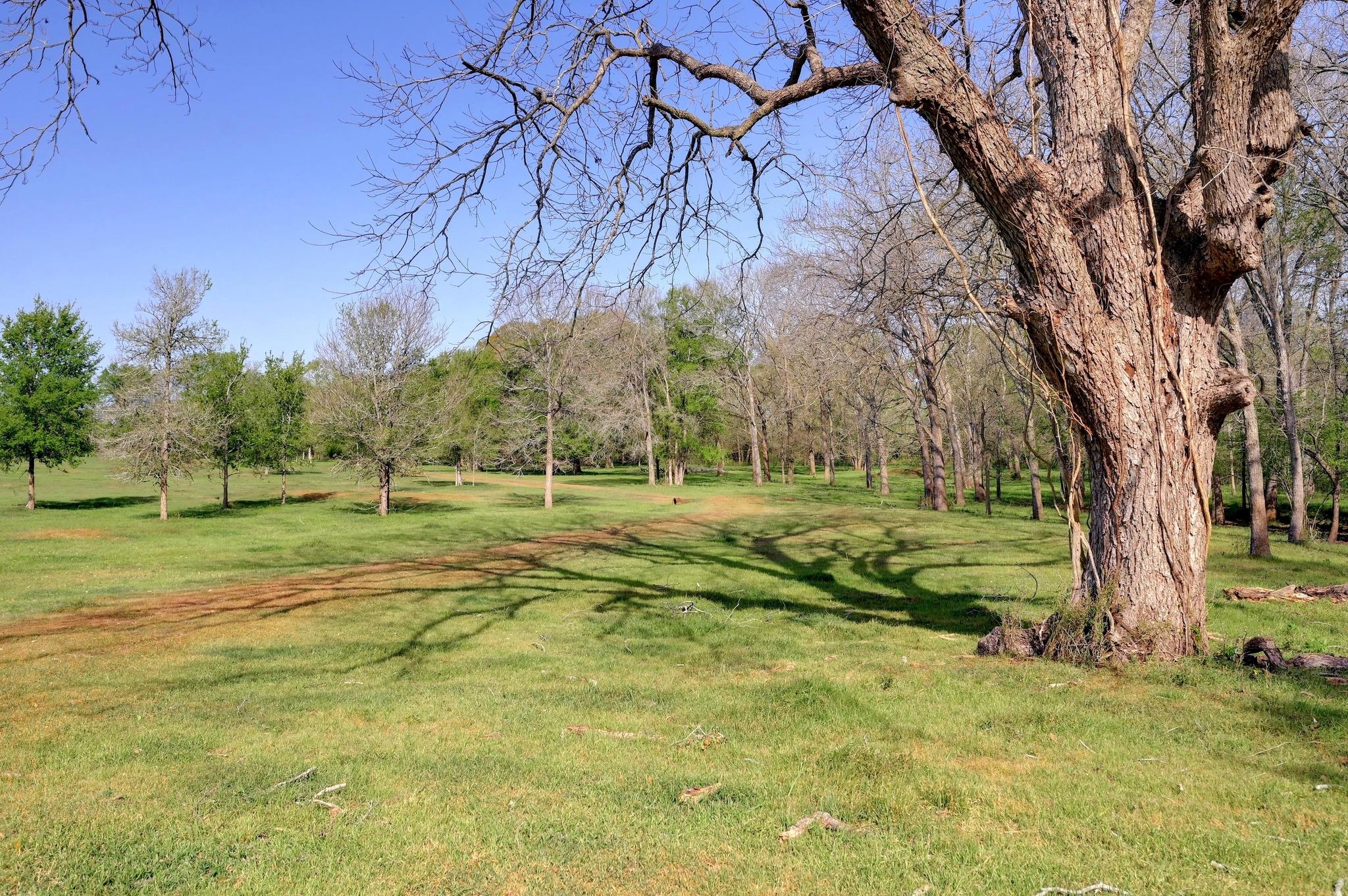 62 County Road 448, Waelder, TX 78959