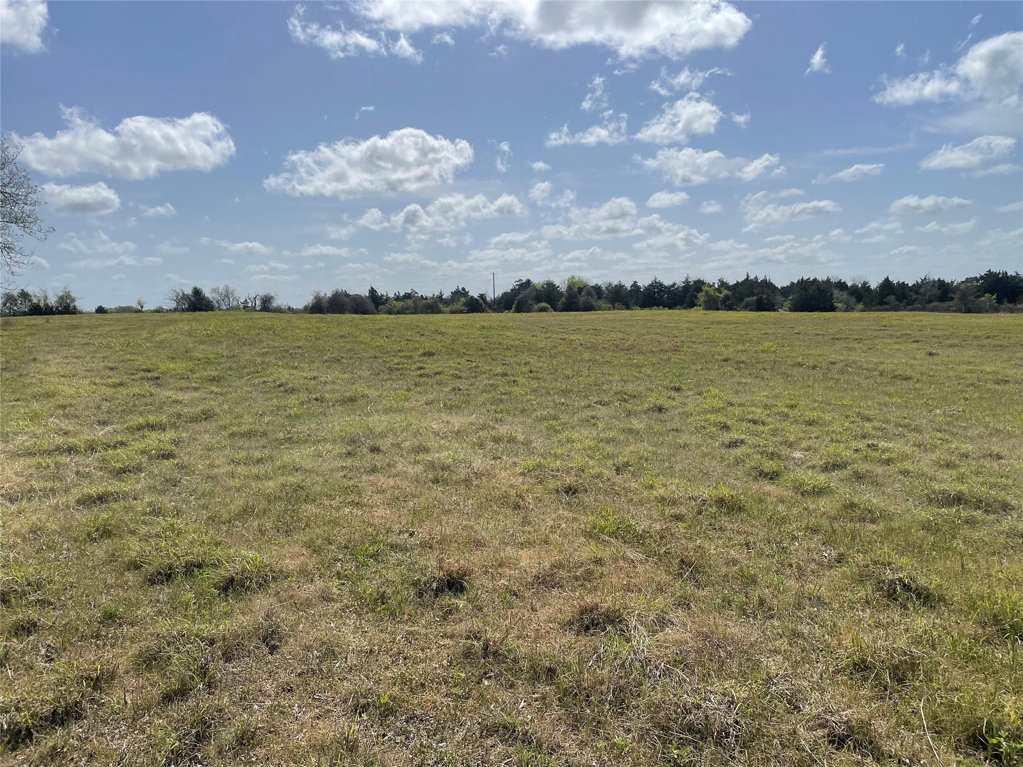 TBD FM 2238, Schulenburg, TX 78956