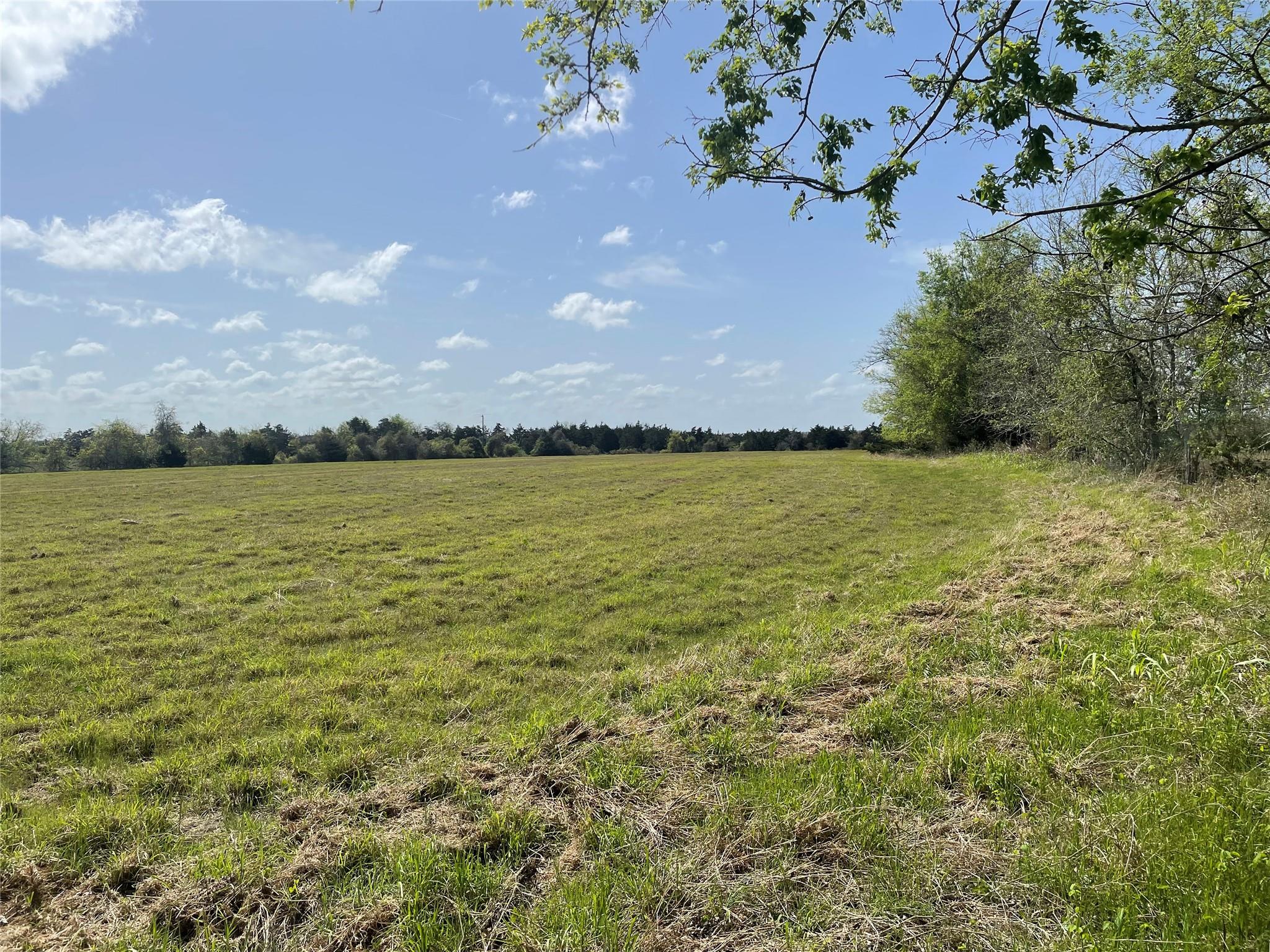 TBD FM 2238, Schulenburg, TX 78956