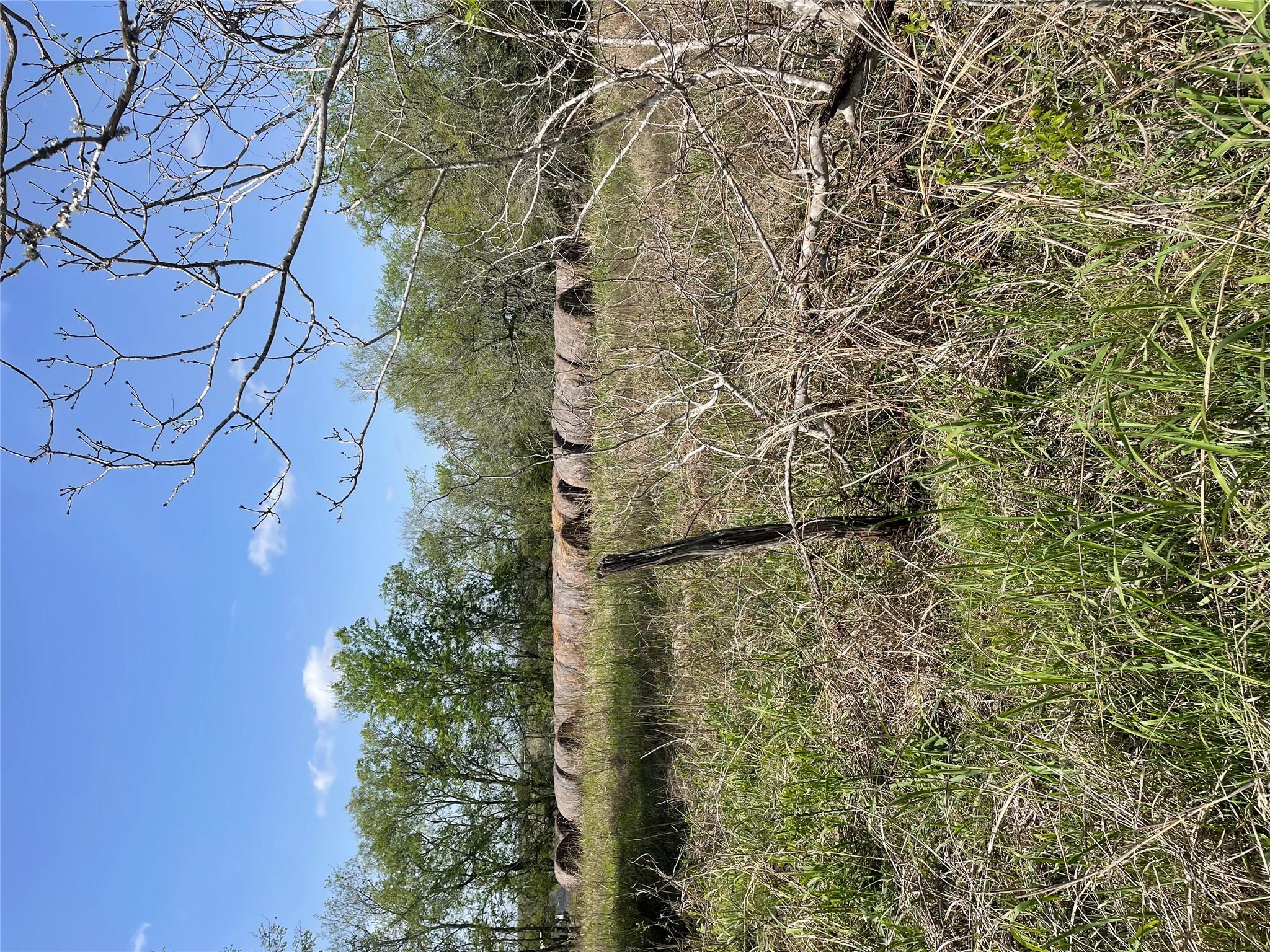 TBD FM 2238, Schulenburg, TX 78956