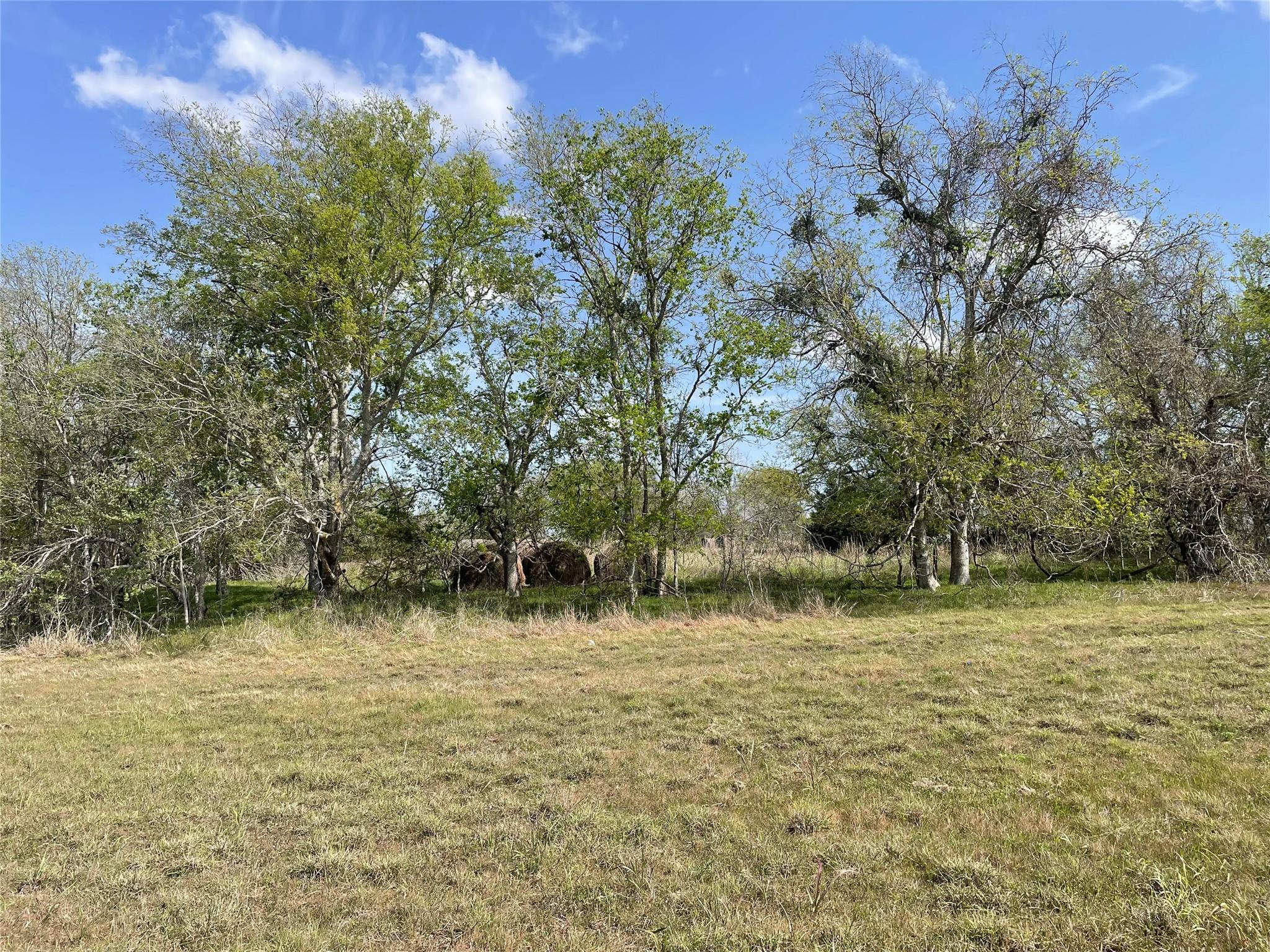 TBD FM 2238, Schulenburg, TX 78956