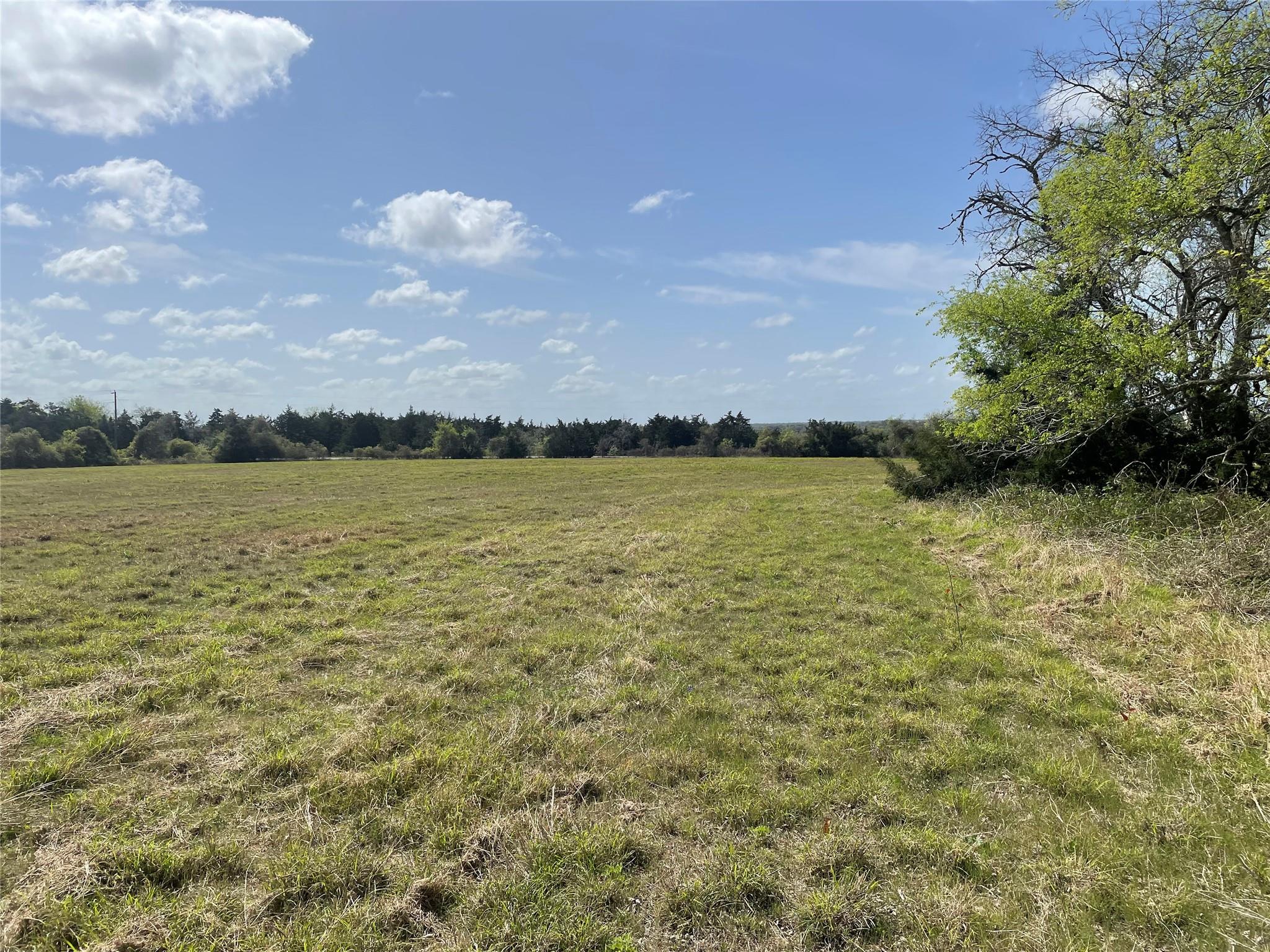 TBD FM 2238, Schulenburg, TX 78956