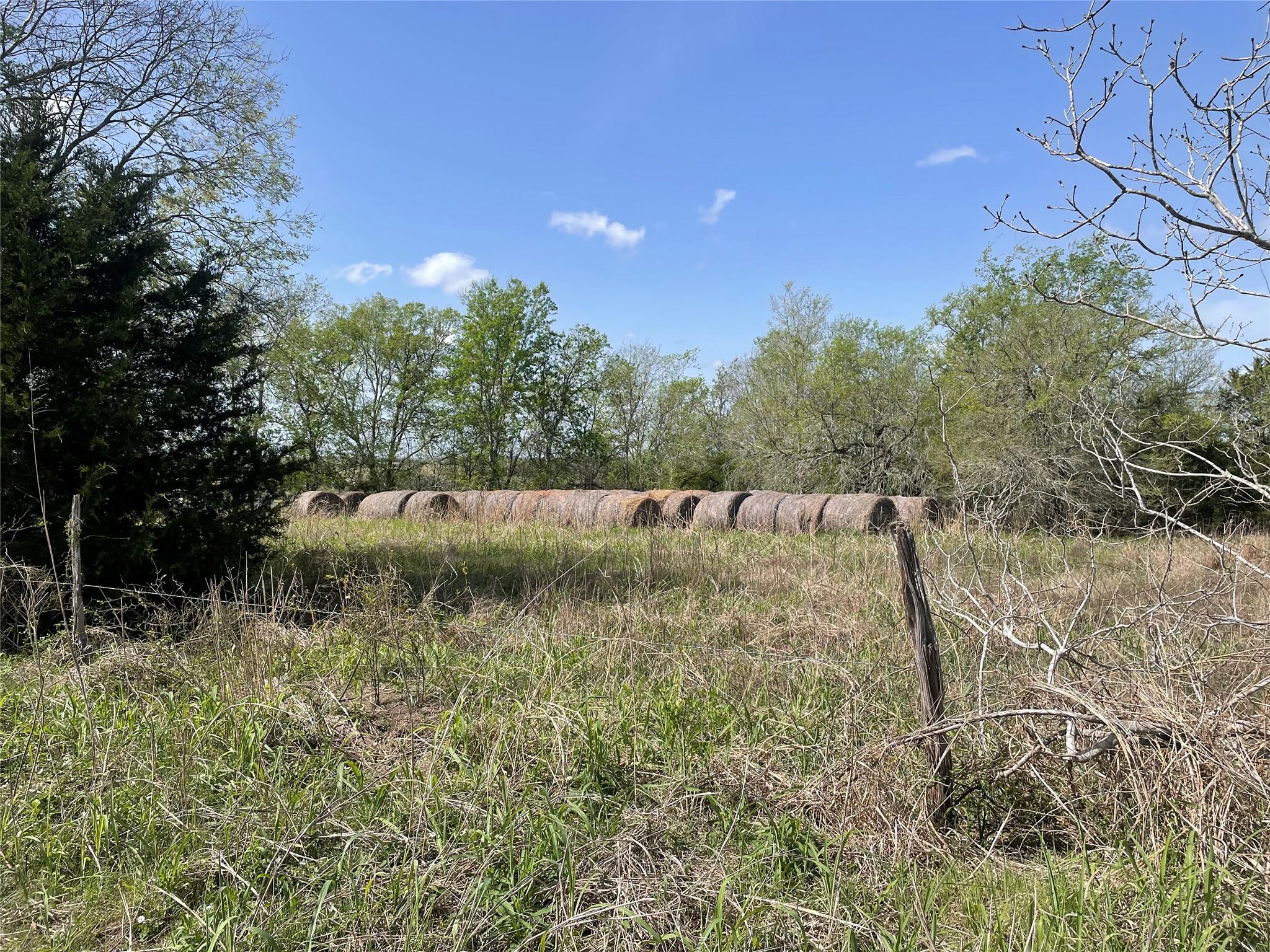 TBD FM 2238, Schulenburg, TX 78956