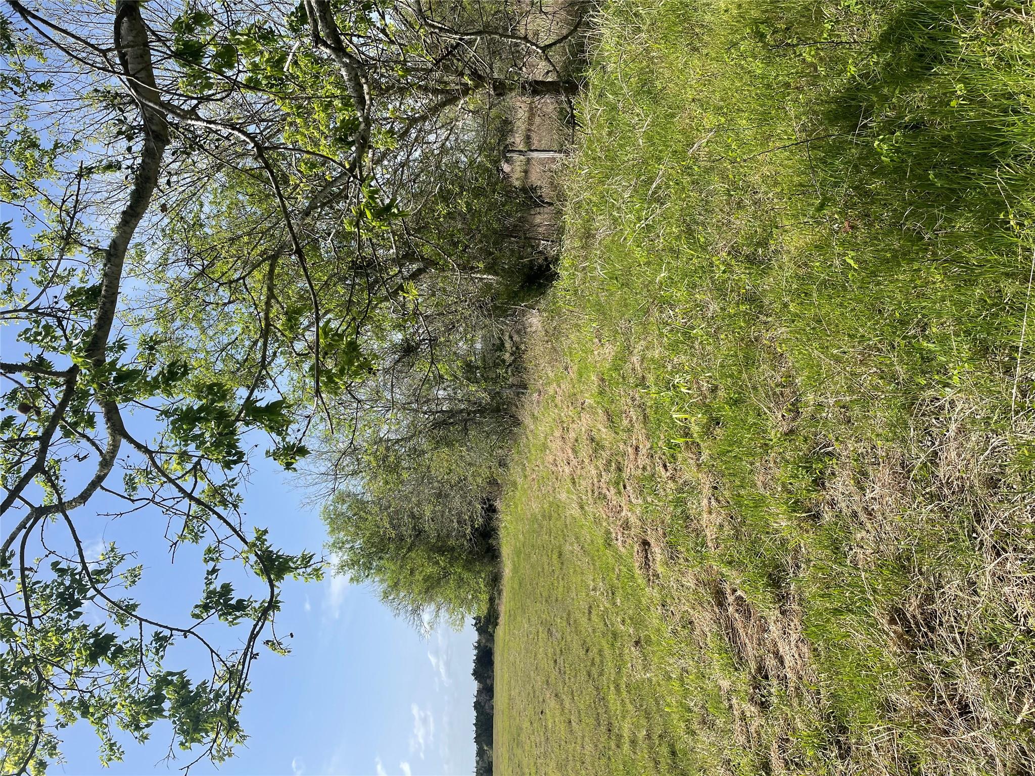 TBD FM 2238, Schulenburg, TX 78956