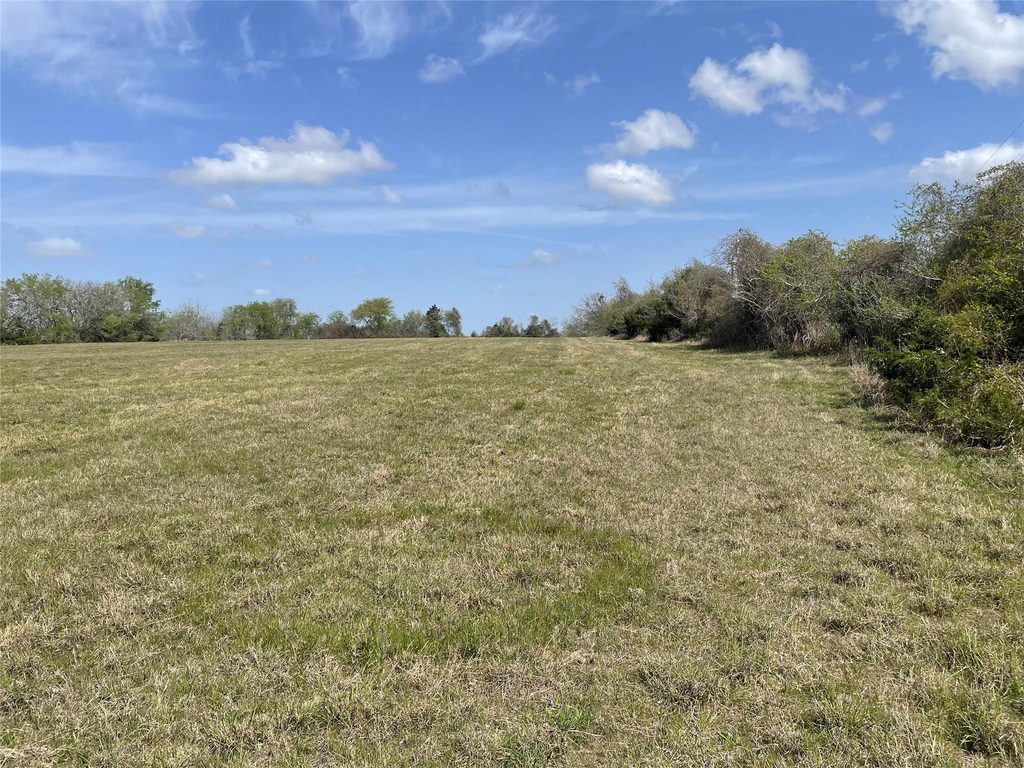 TBD FM 2238, Schulenburg, TX 78956