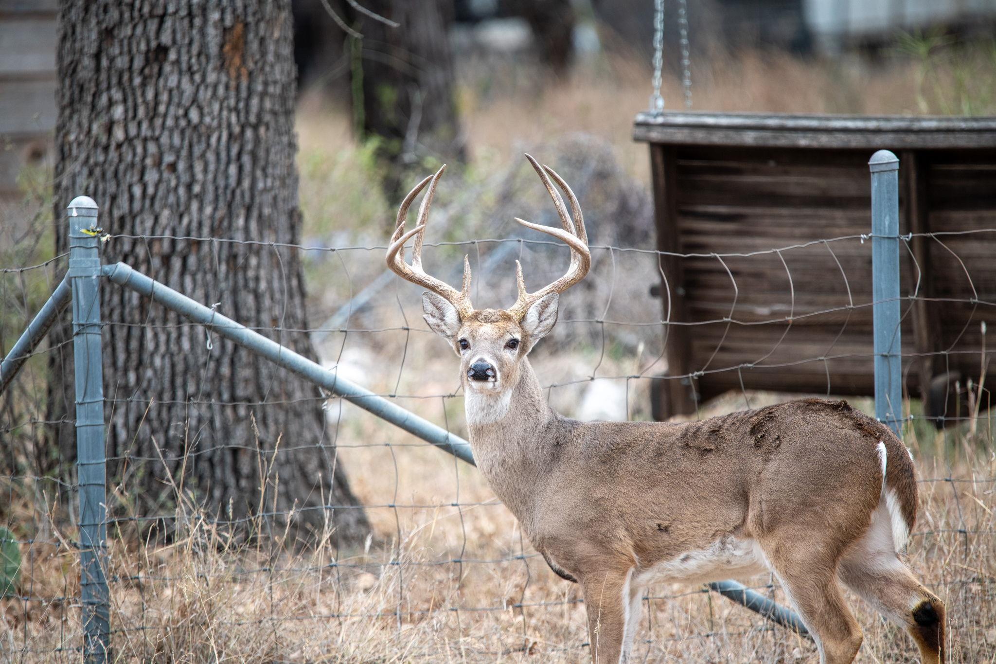 Lot 436 Fir Ln, Cottonwood Shores, TX 78657