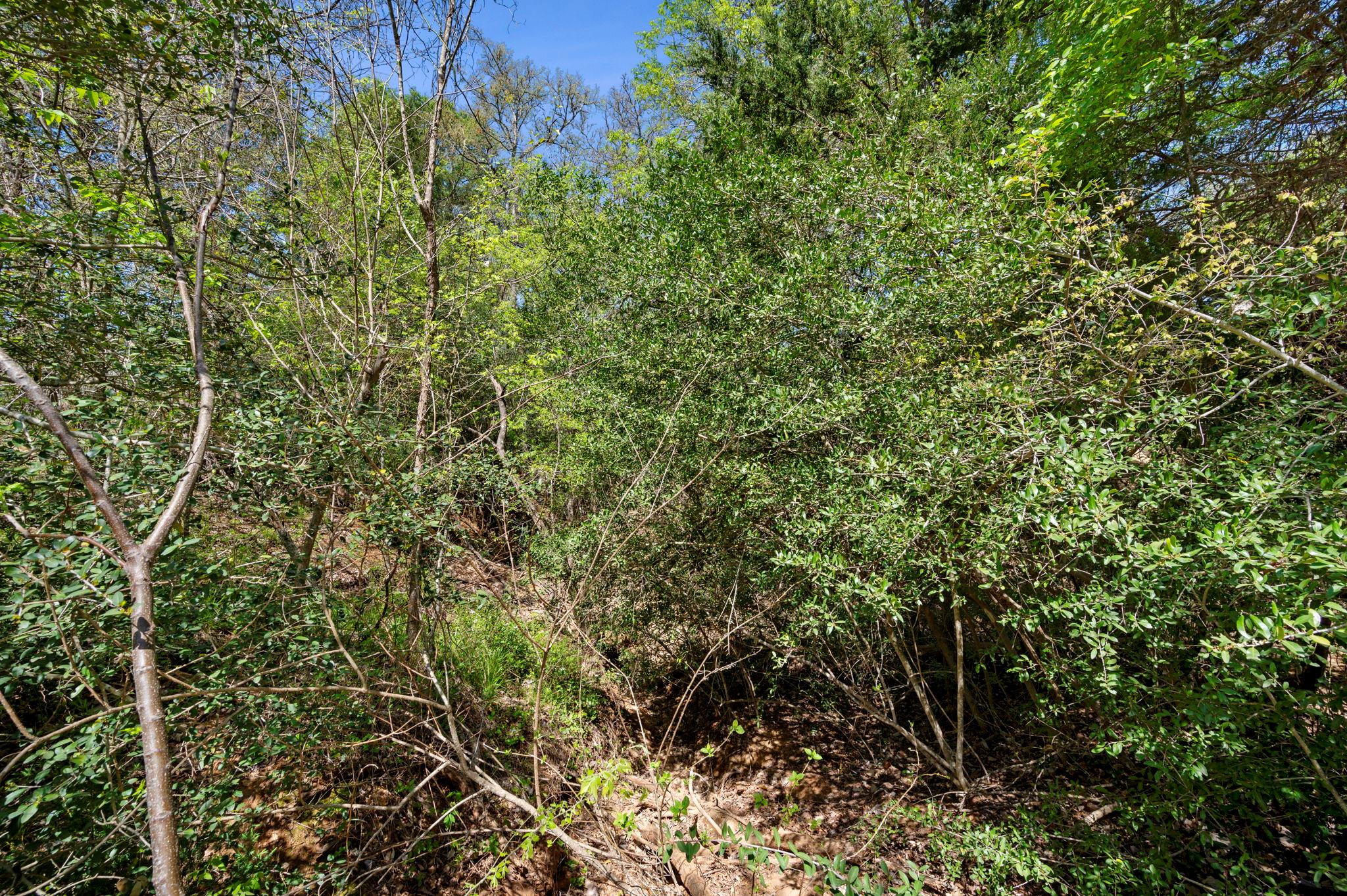 106 Kauloo Ct, Bastrop, TX 78602