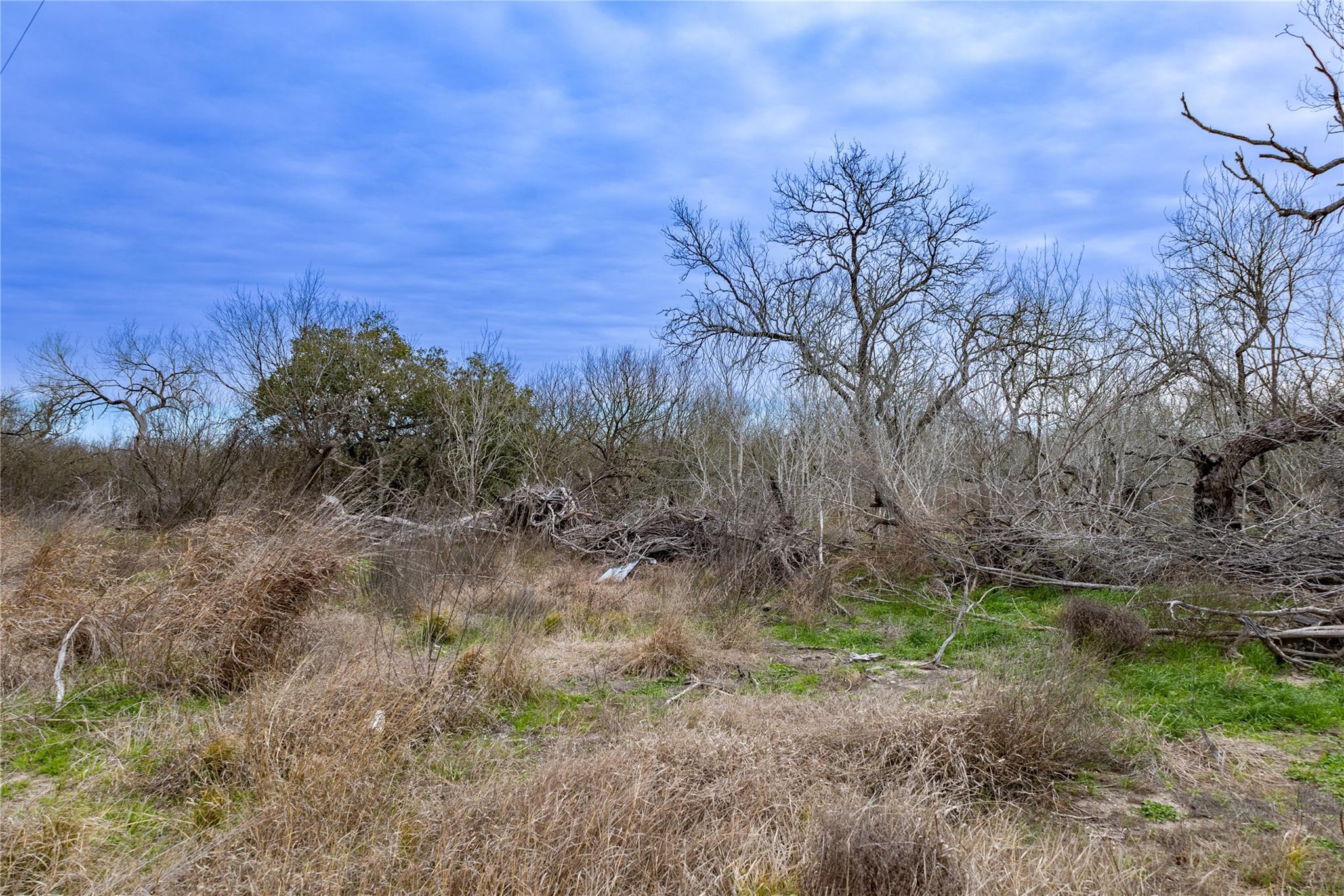 315 Union Hill Rd, Luling, TX 78648