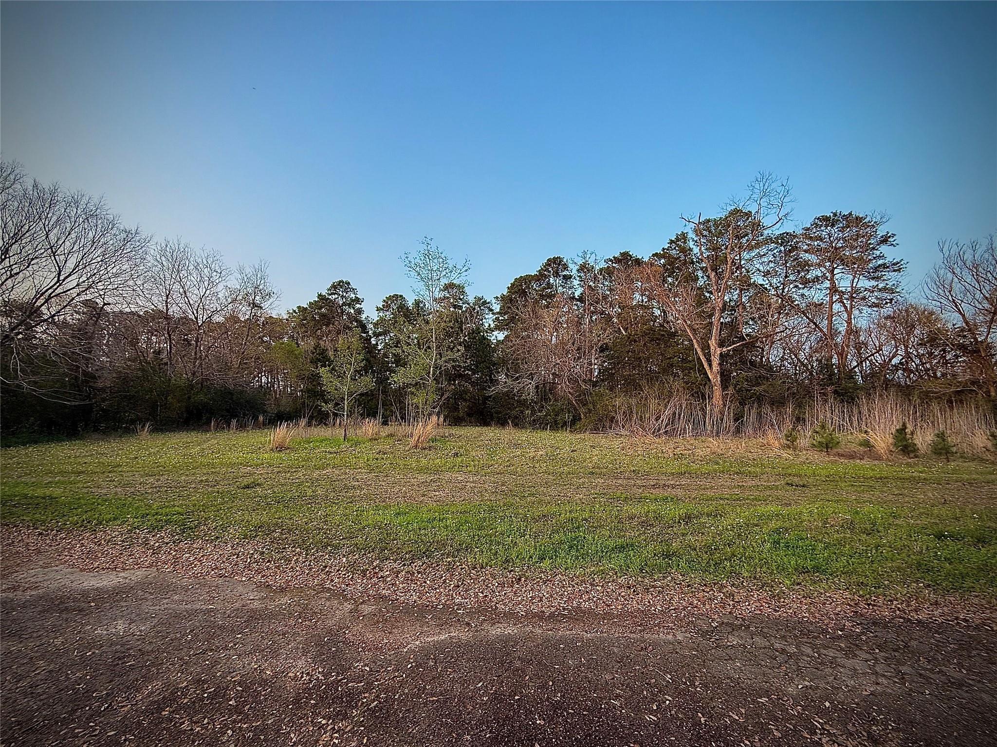 2101 N Beatty Ave, Livingston, TX 77351