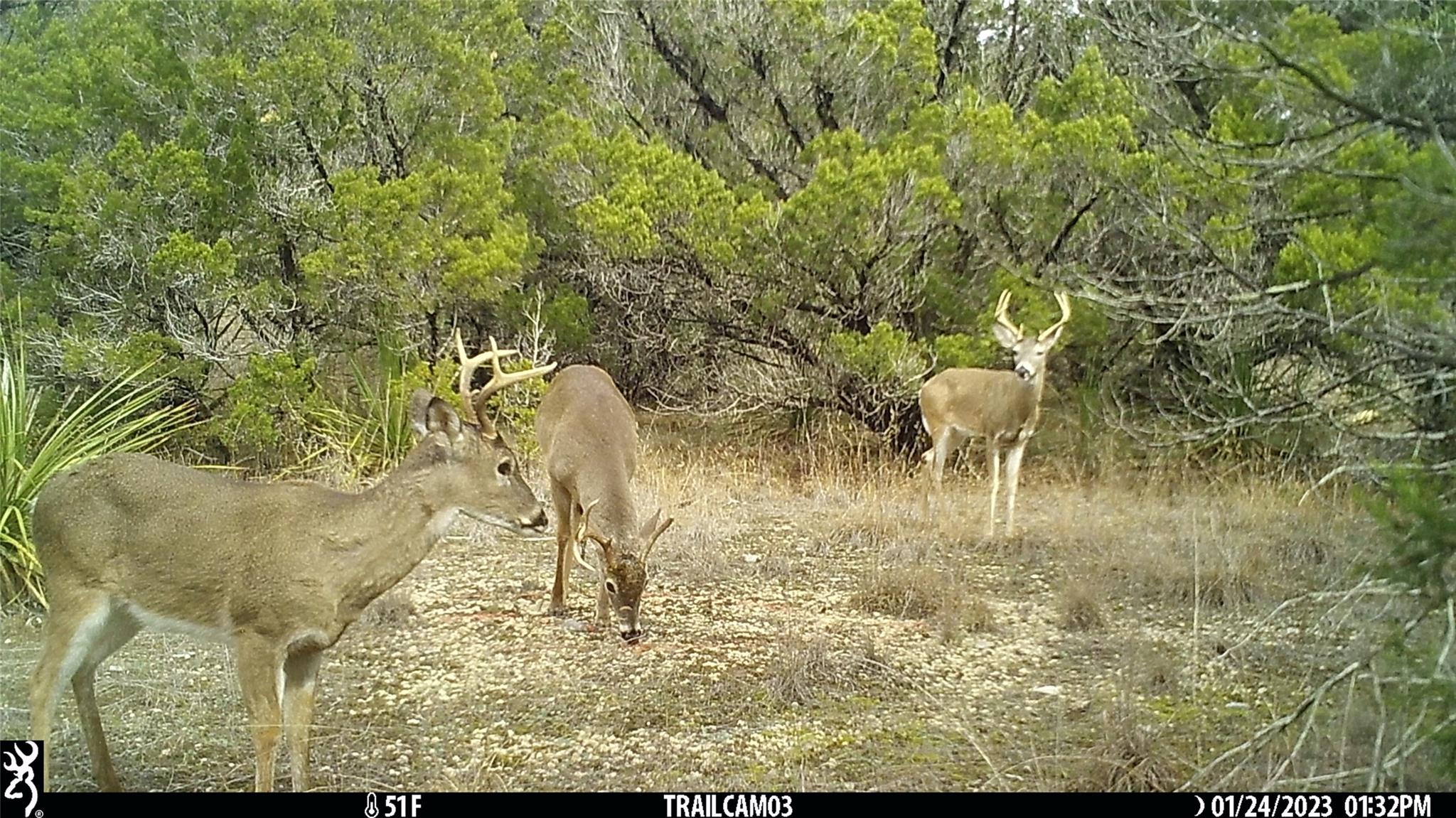 10700 FM306, New Braunfels, TX 78132