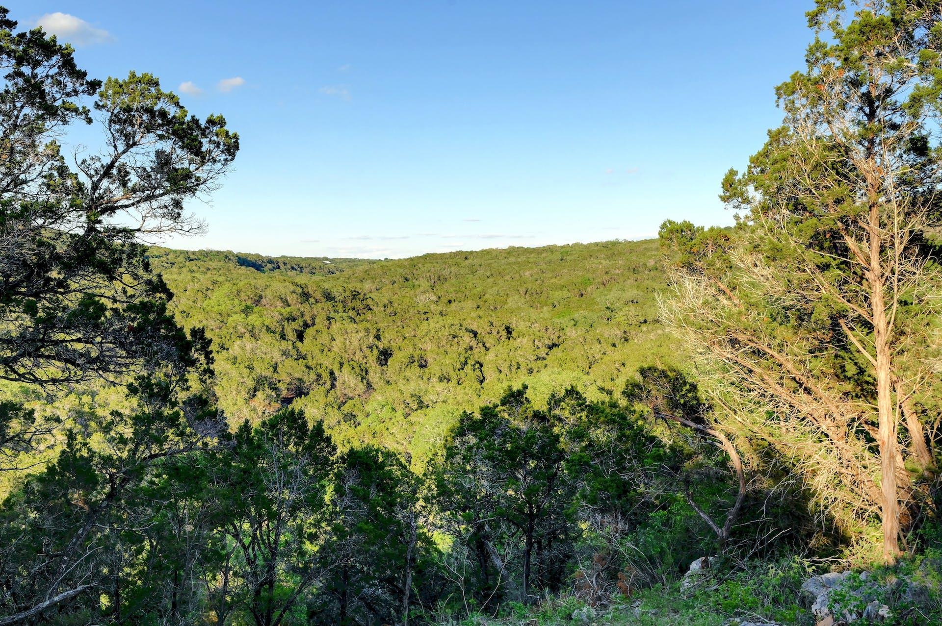 10580 Fm 306, New Braunfels, TX 78132