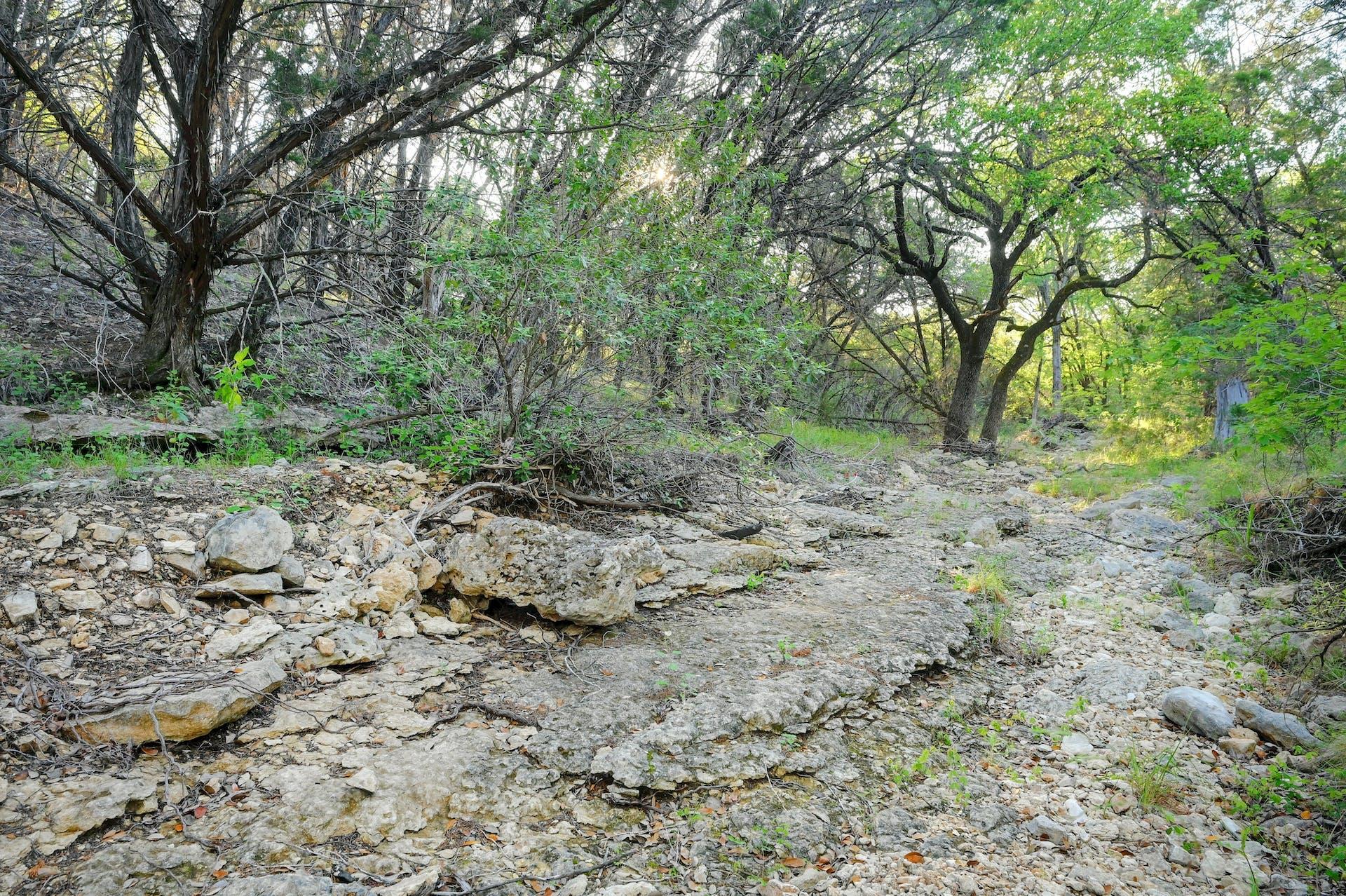 10580 Fm 306, New Braunfels, TX 78132