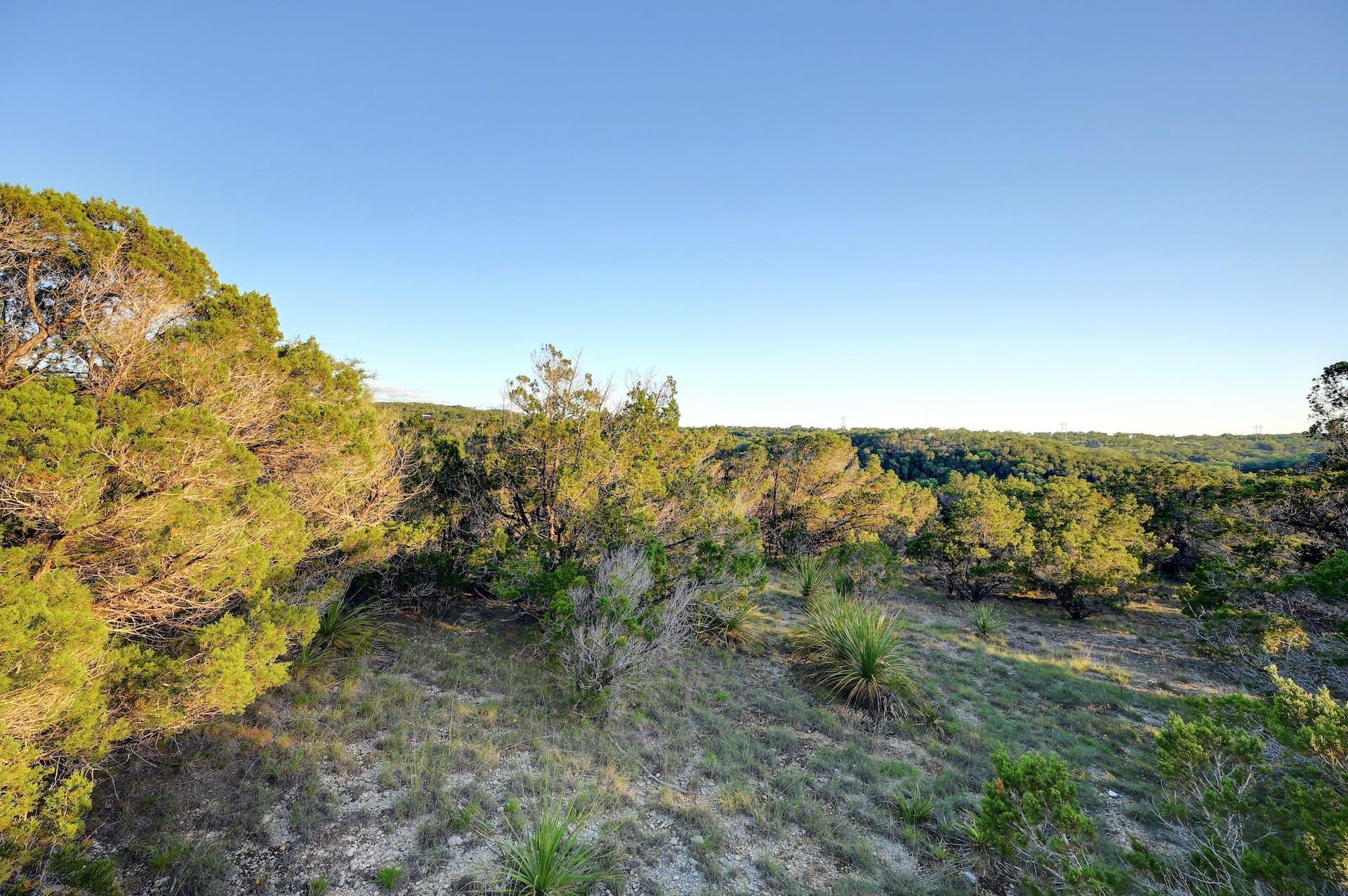 10580 Fm 306, New Braunfels, TX 78132