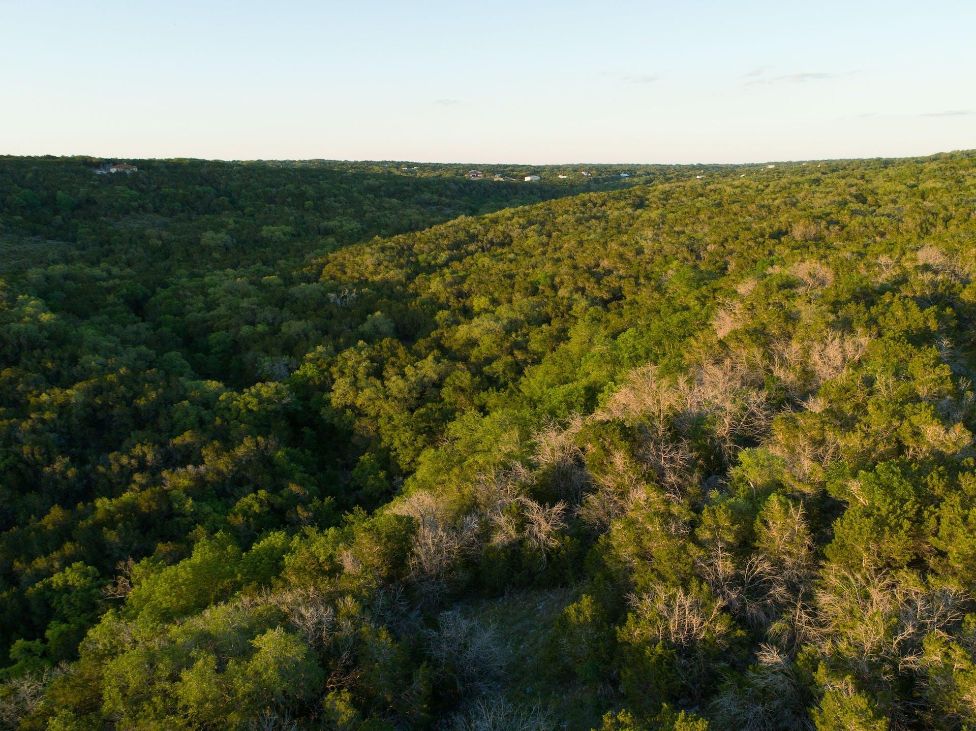 10580 Fm 306, New Braunfels, TX 78132