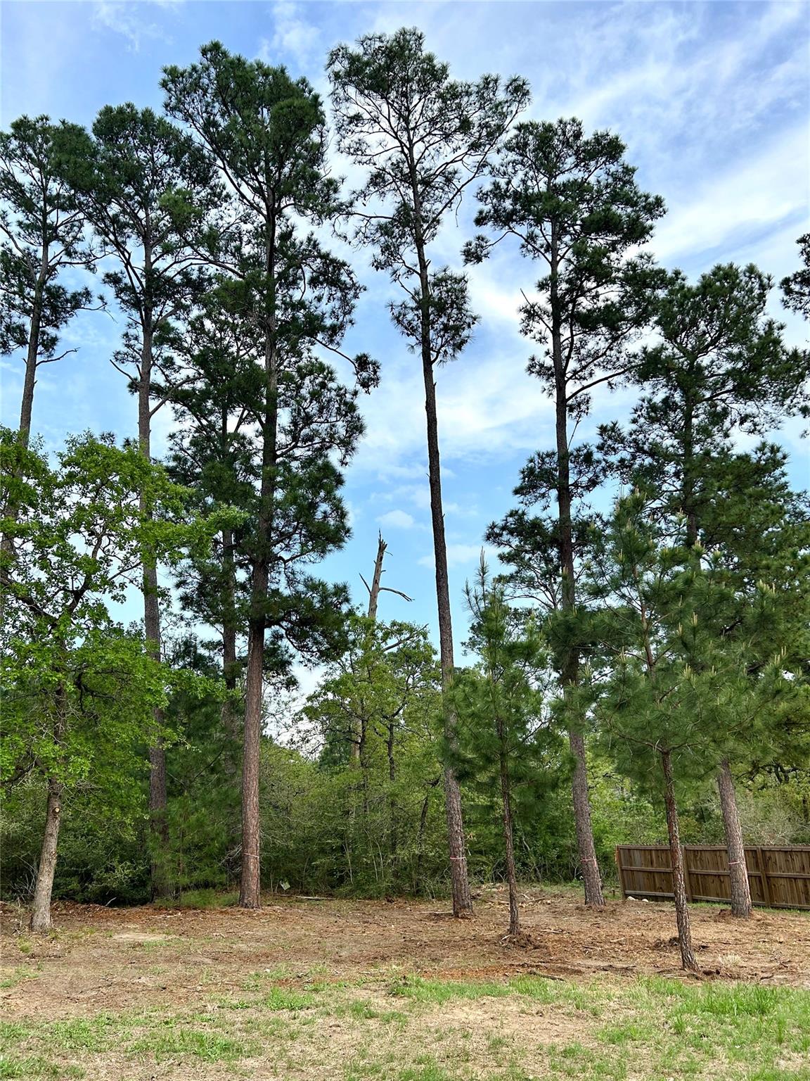 143 N Kaupo Dr, Bastrop, TX 78602