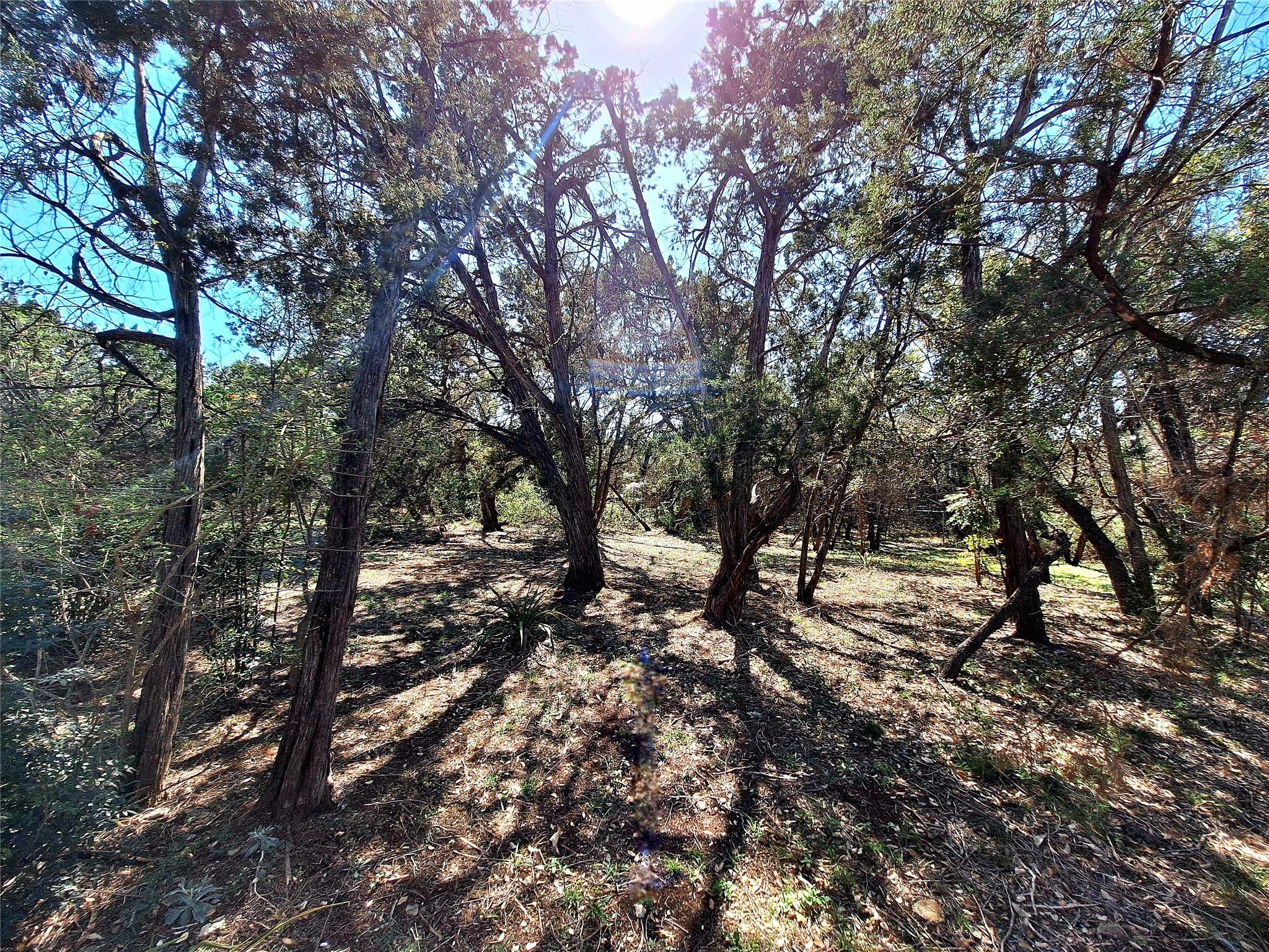 9011 Dorella Ln, Austin, TX 78736