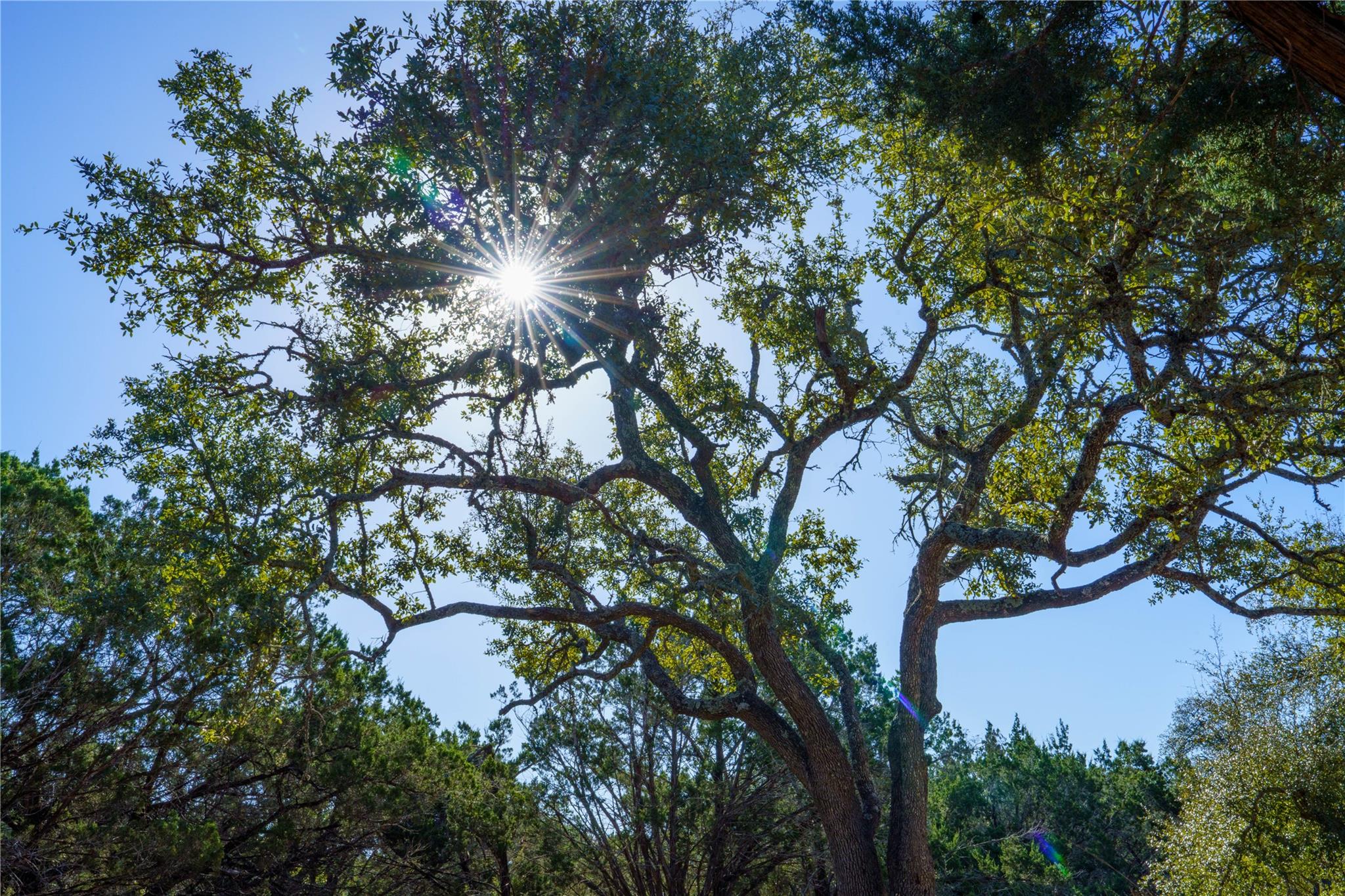 1400 Panther Creek Rd, Driftwood, TX 78619