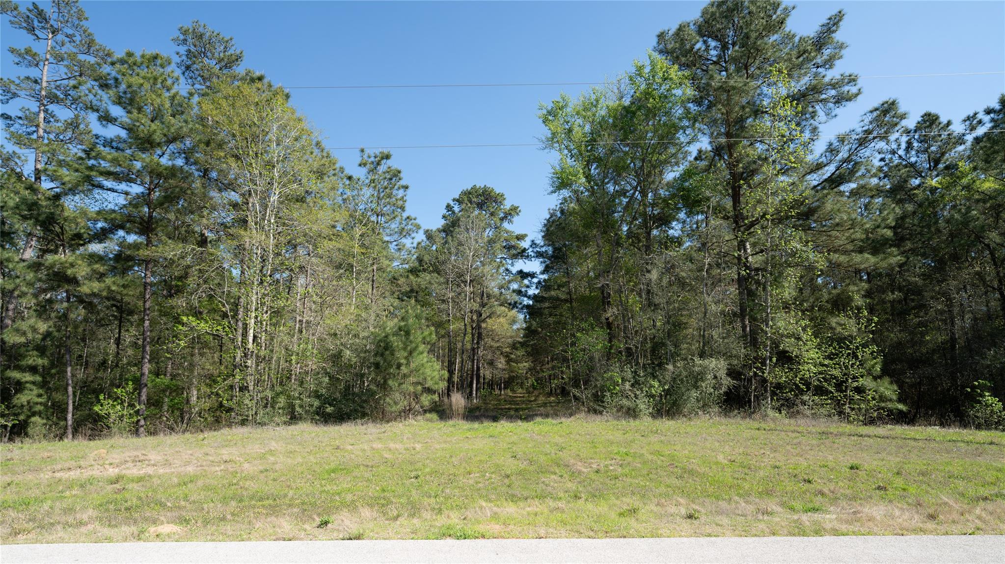 000 Bighorn Rd, Huntsville, TX 77340