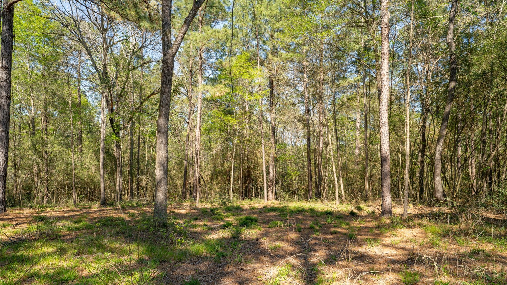 000 Bighorn Rd, Huntsville, TX 77340