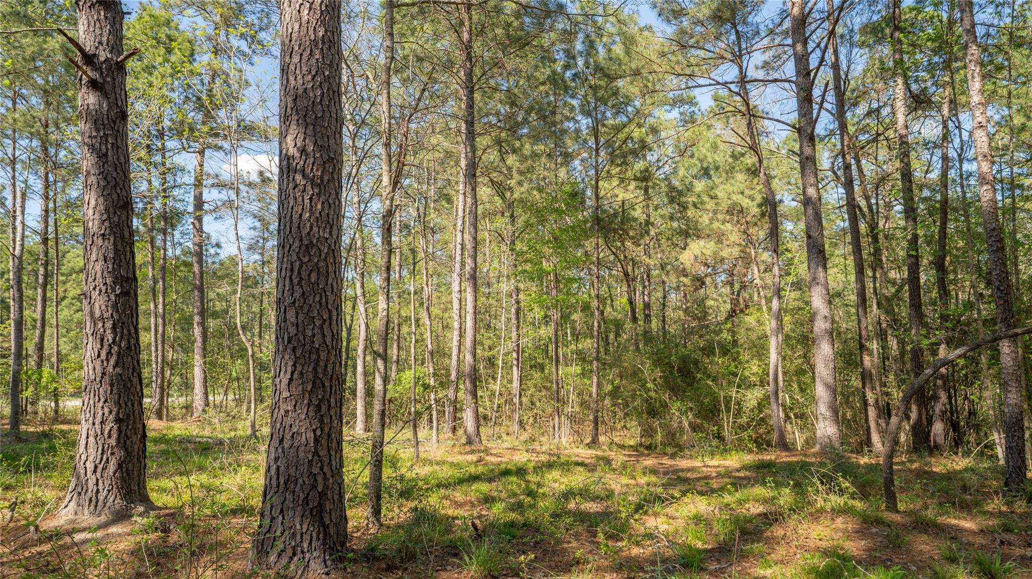 000 Bighorn Rd, Huntsville, TX 77340