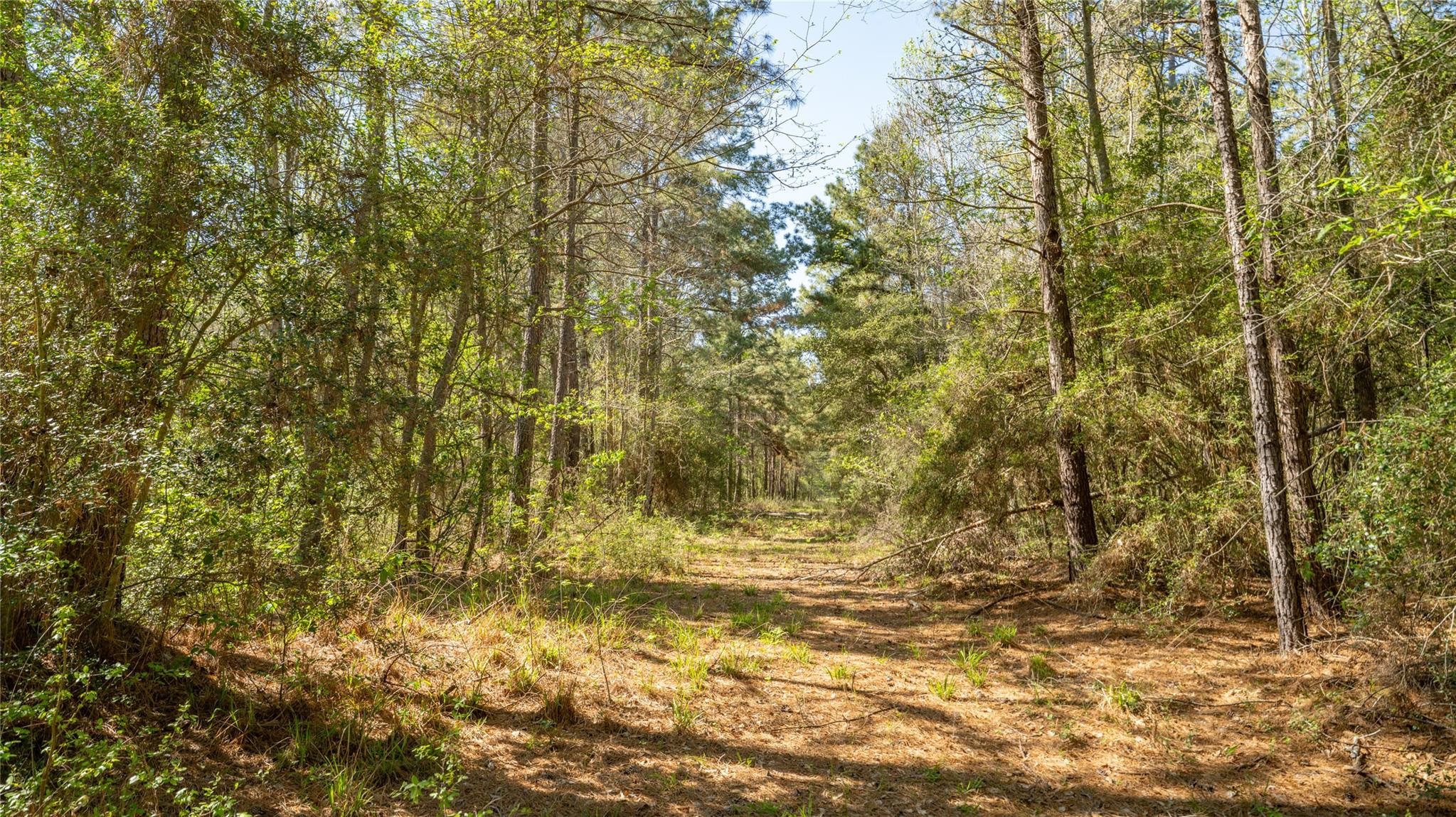 000 Bighorn Rd, Huntsville, TX 77340