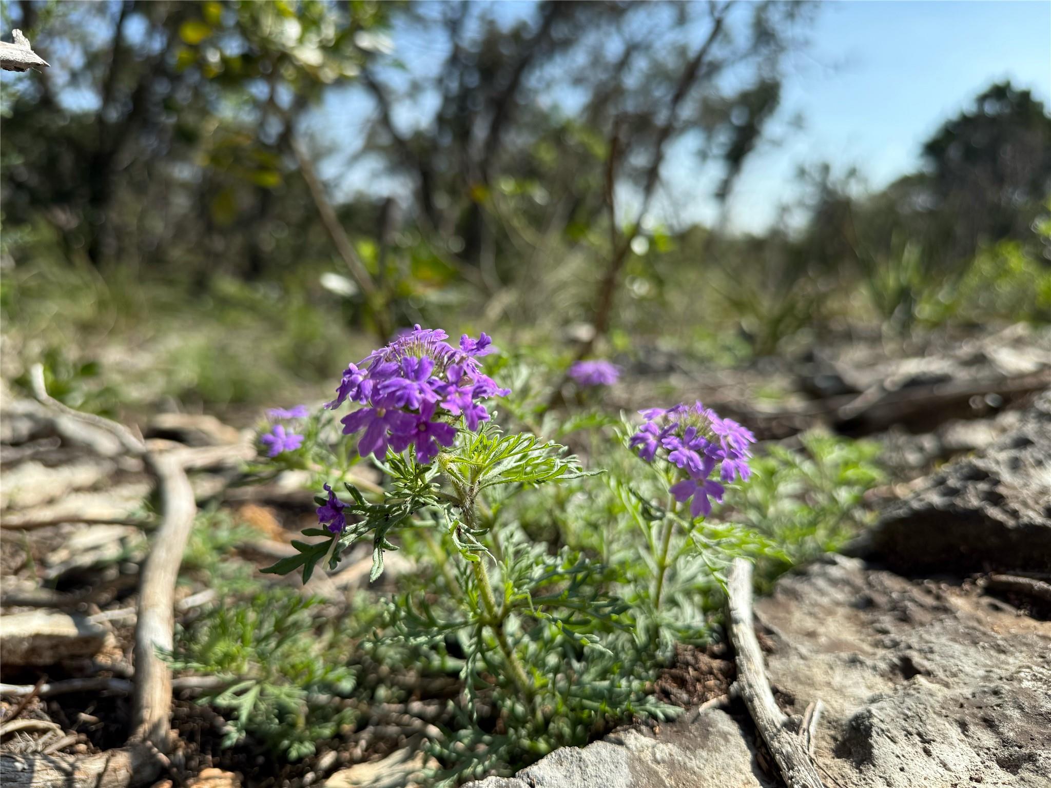 3470 Summit Dr, New Braunfels, TX 78132