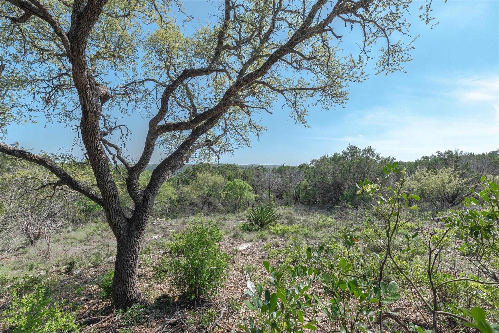 3470 Summit Dr, New Braunfels, TX 78132