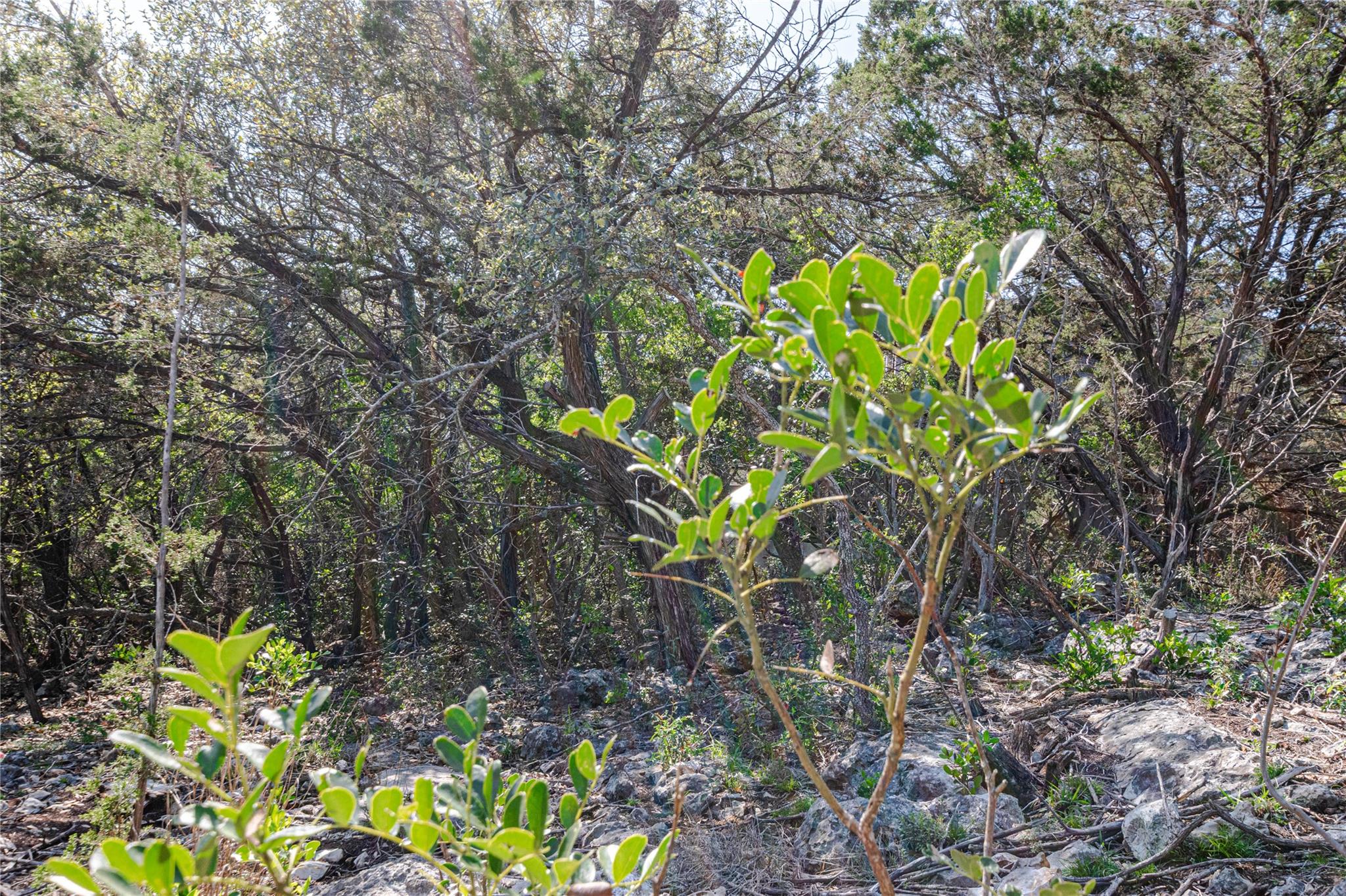 3470 Summit Dr, New Braunfels, TX 78132