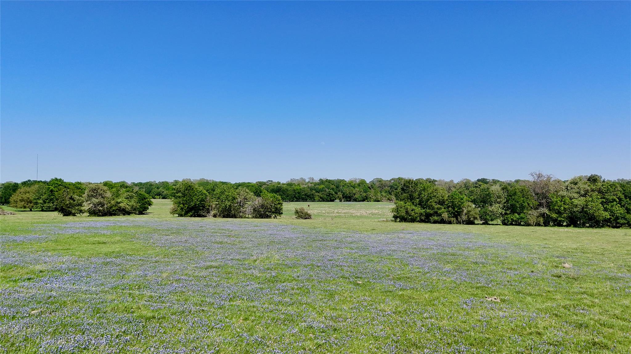 4255 Fm 957, Schulenburg, TX 78956