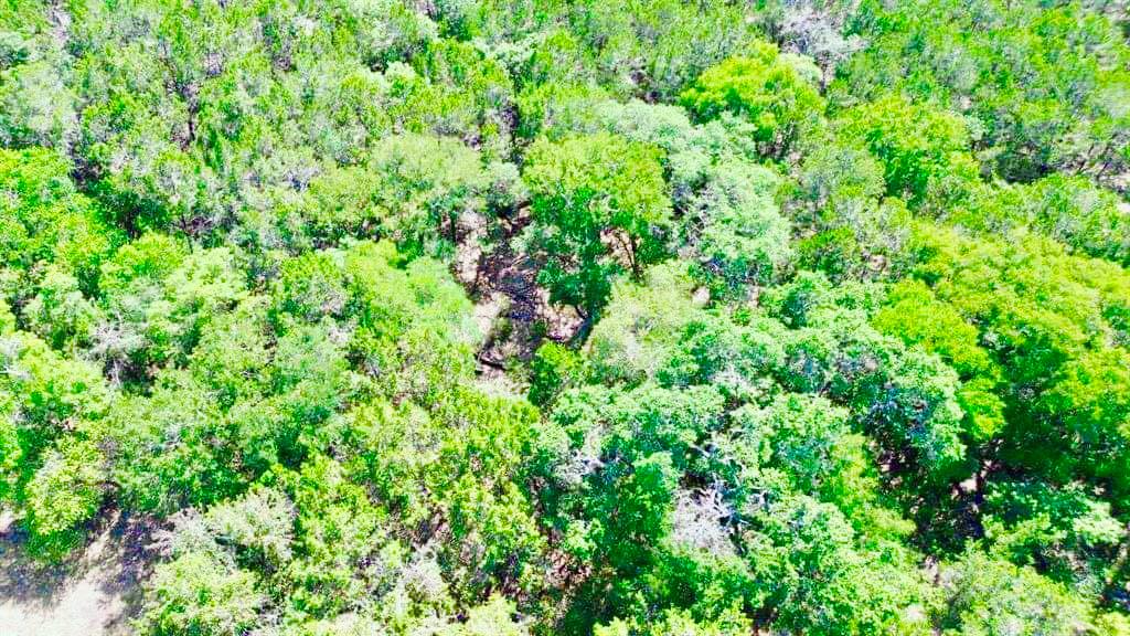 237 Pleasant Valley Rd, Wimberley, TX 78676