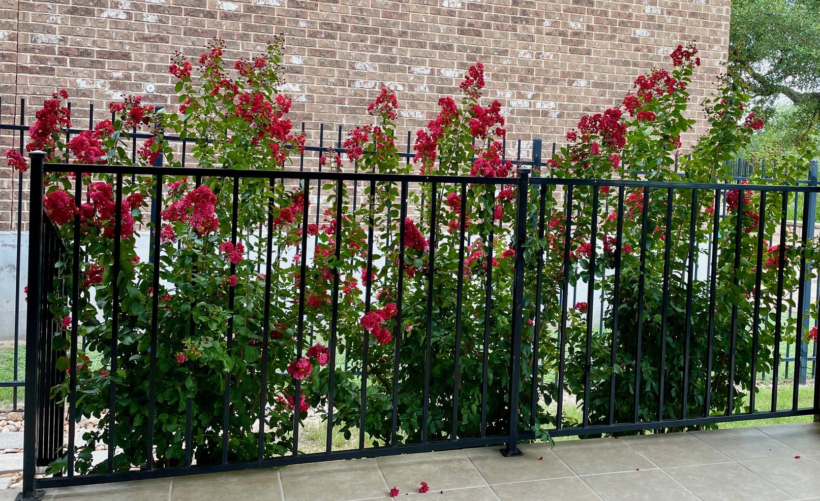 182 Emma Loop, Austin, TX 78737