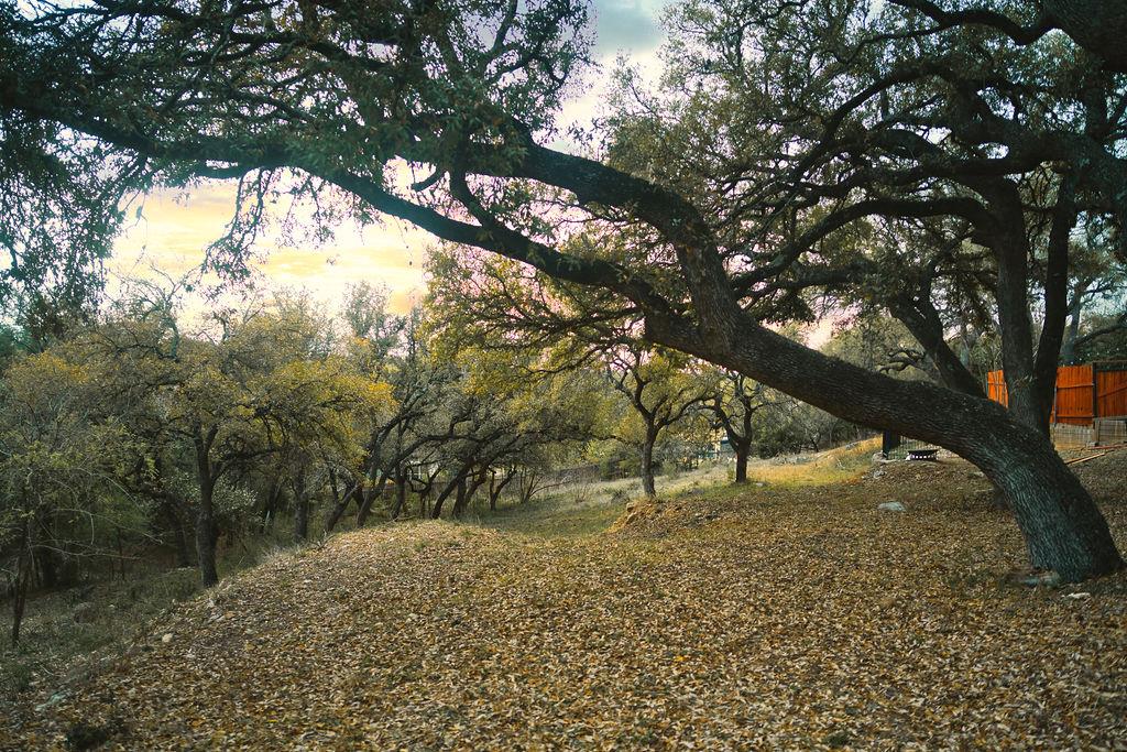 15505 Enid Dr, Austin, TX 78734