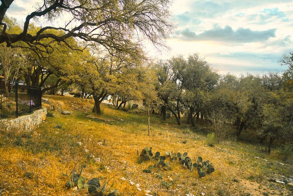 15505 Enid Dr, Austin, TX 78734