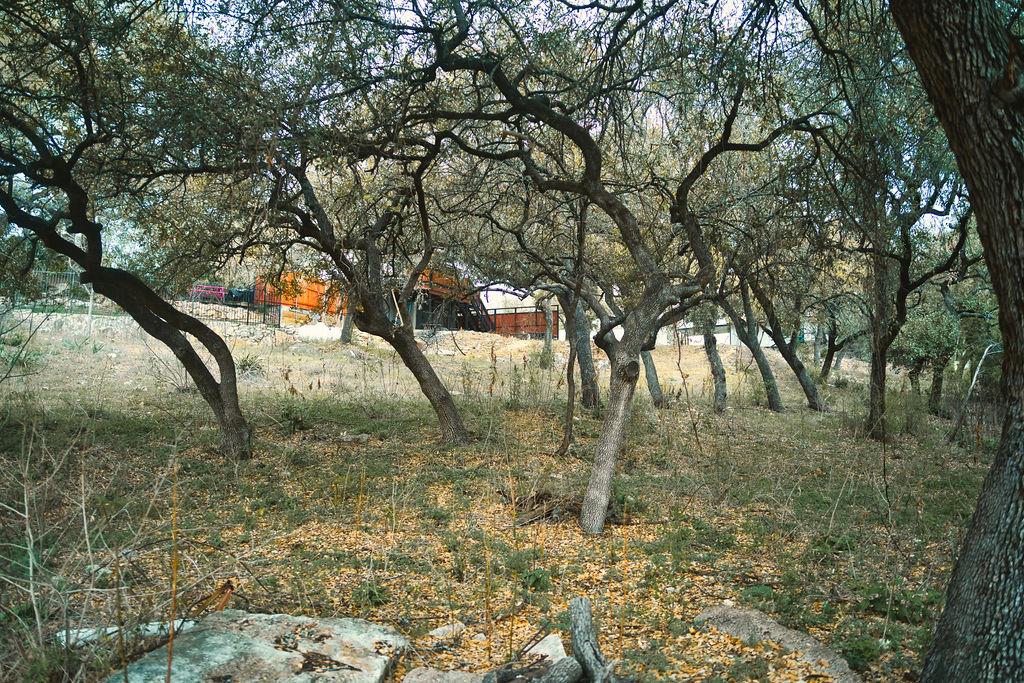 15505 Enid Dr, Austin, TX 78734