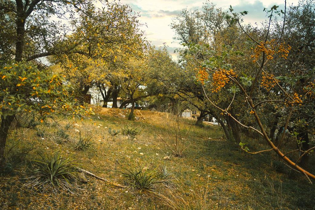 15505 Enid Dr, Austin, TX 78734