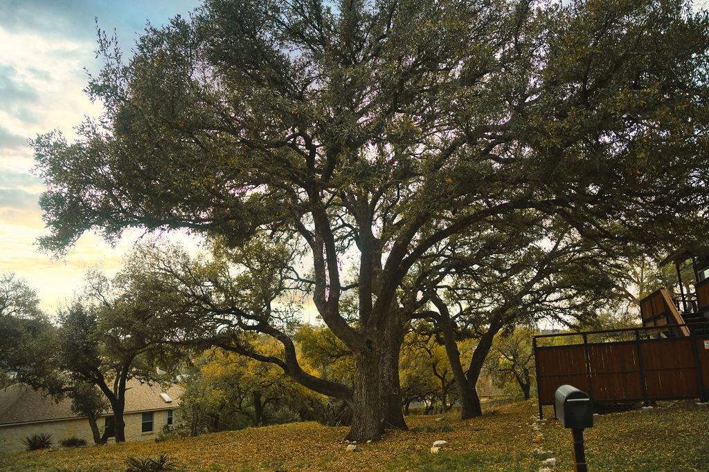 15505 Enid Dr, Austin, TX 78734