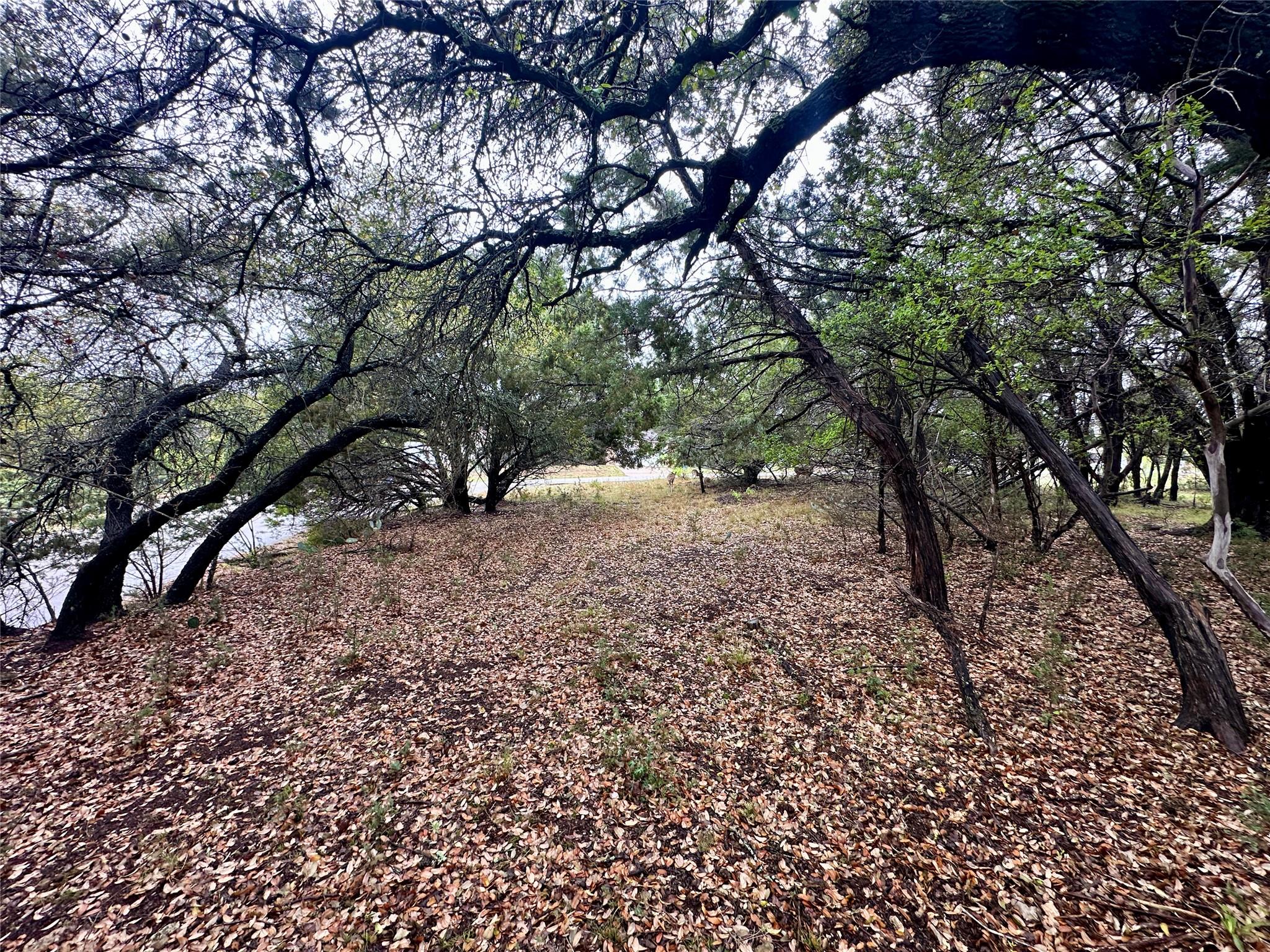 2907 Ticonderoga Cv, Lago Vista, TX 78645