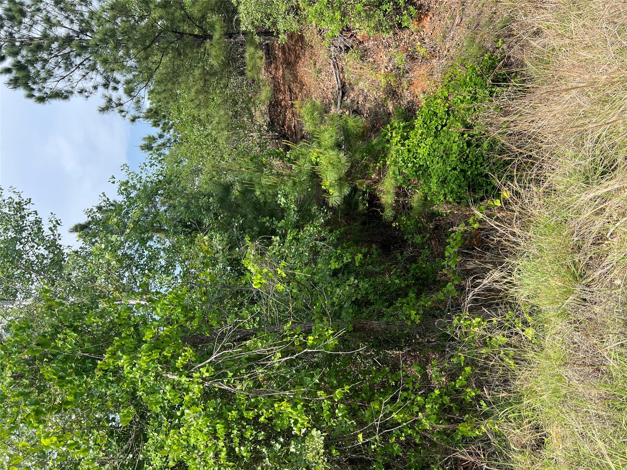 Lot 1671 TBD Moku Ct, Bastrop, TX 78602