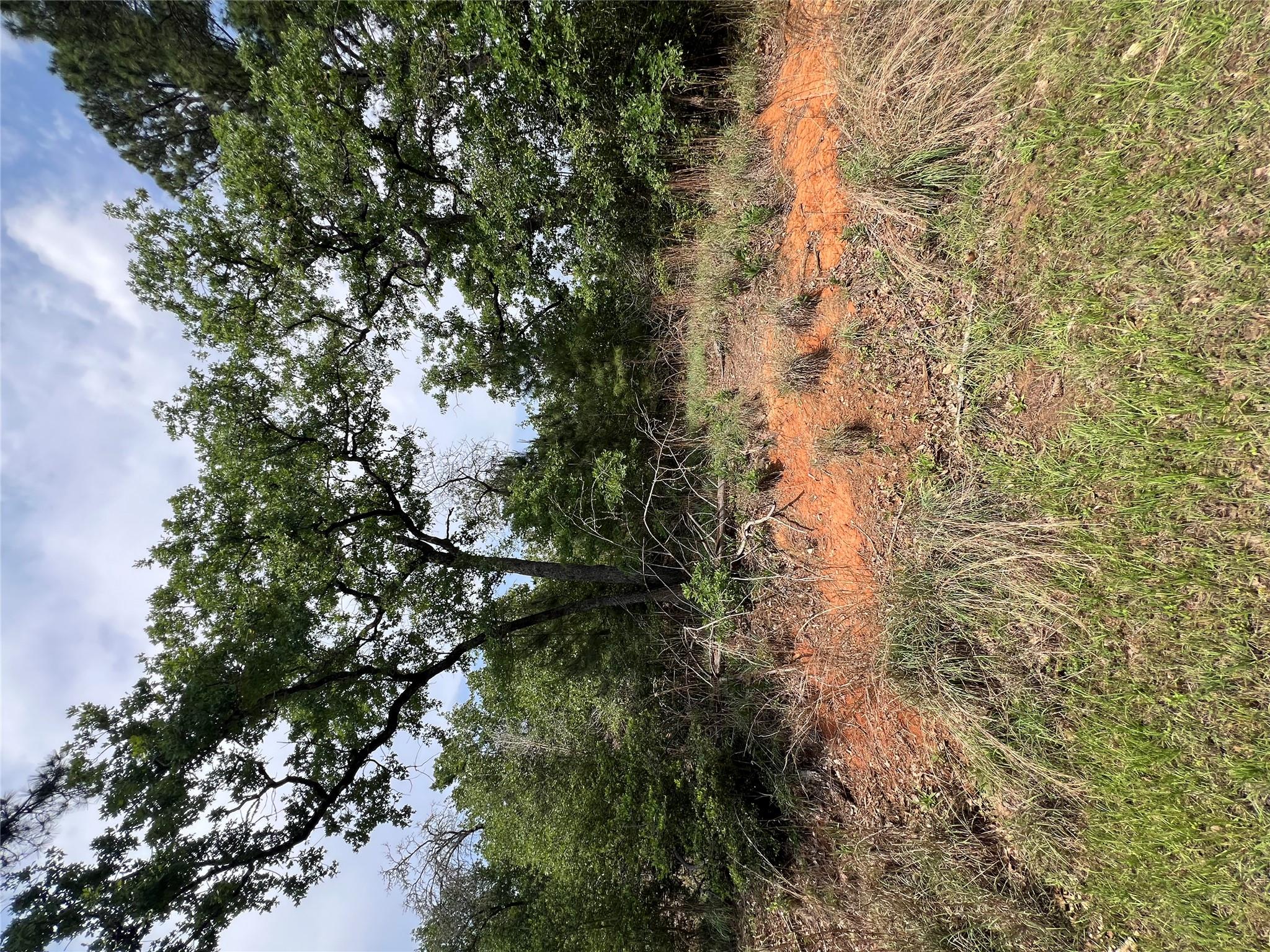 Lot 1671 TBD Moku Ct, Bastrop, TX 78602