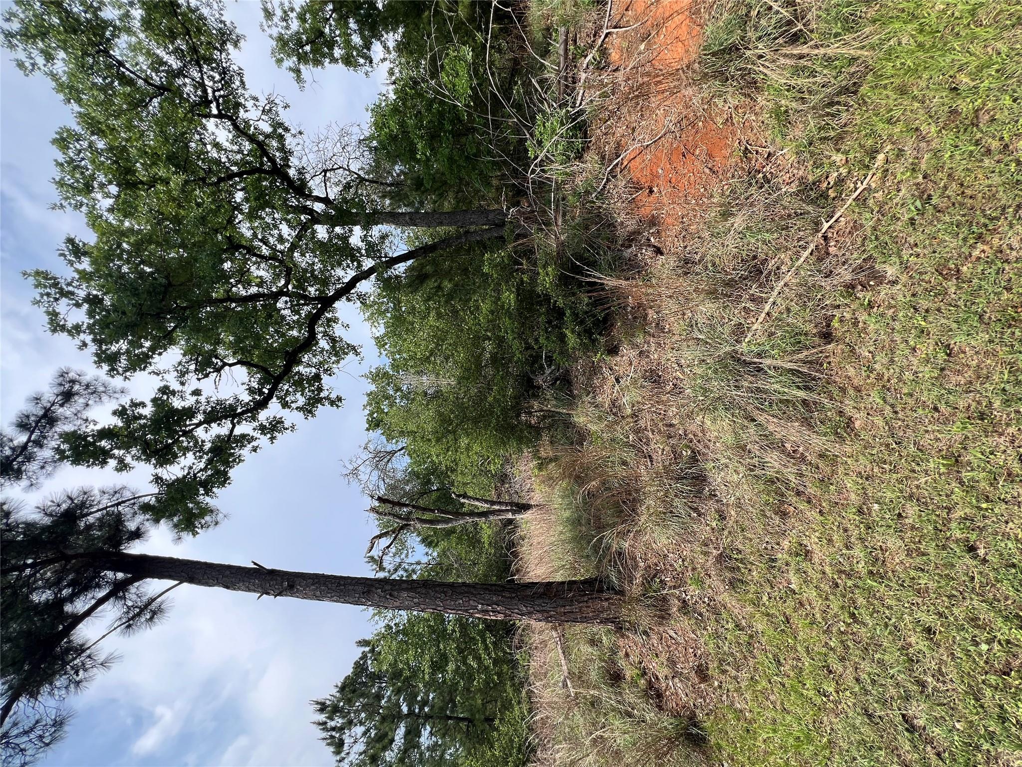 Lot 1671 TBD Moku Ct, Bastrop, TX 78602