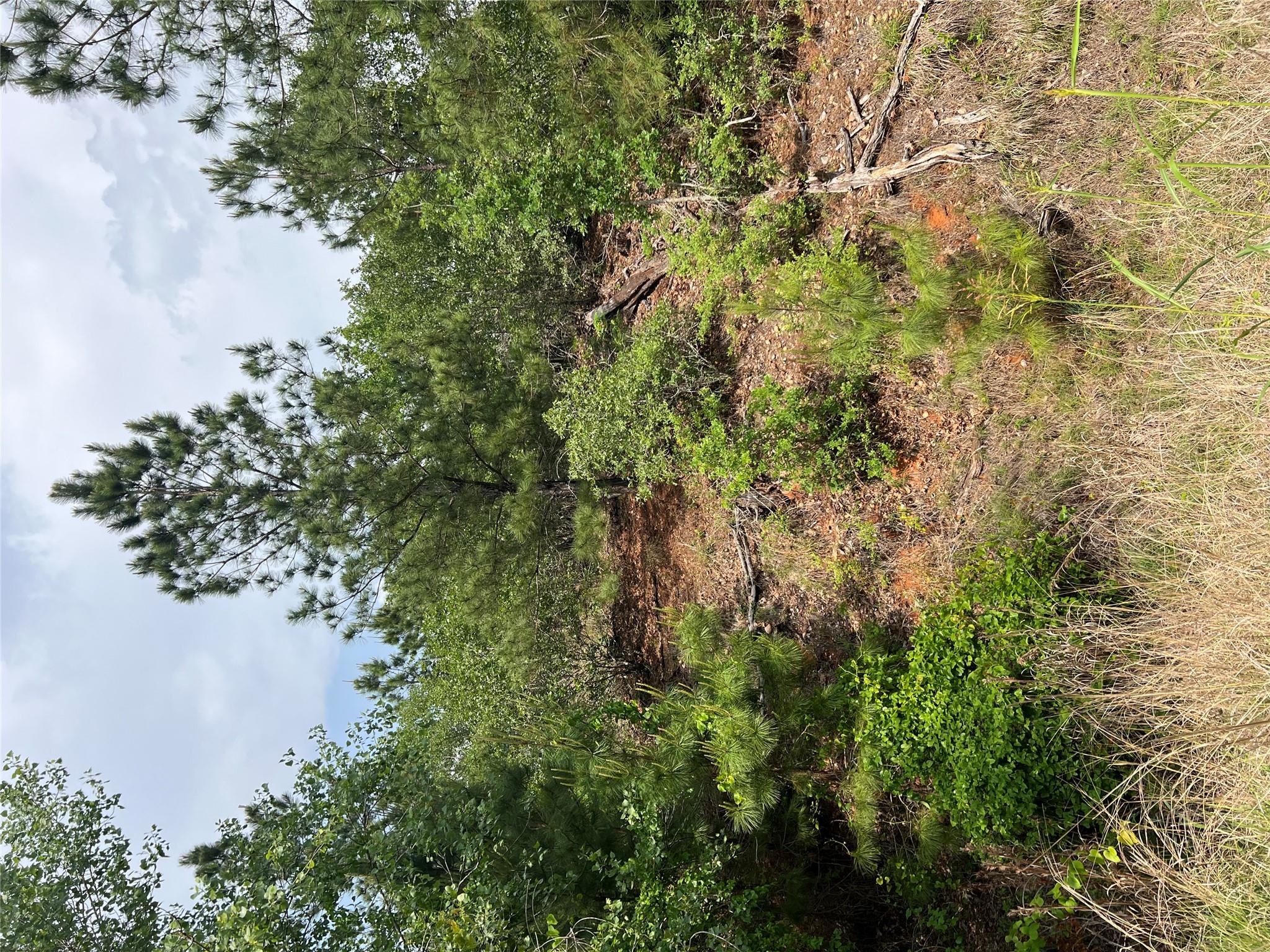 Lot 1671 TBD Moku Ct, Bastrop, TX 78602