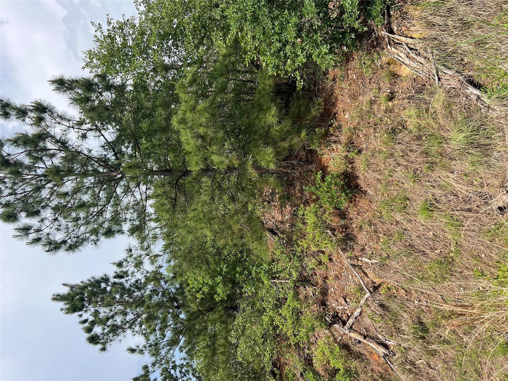 Lot 1671 TBD Moku Ct, Bastrop, TX 78602