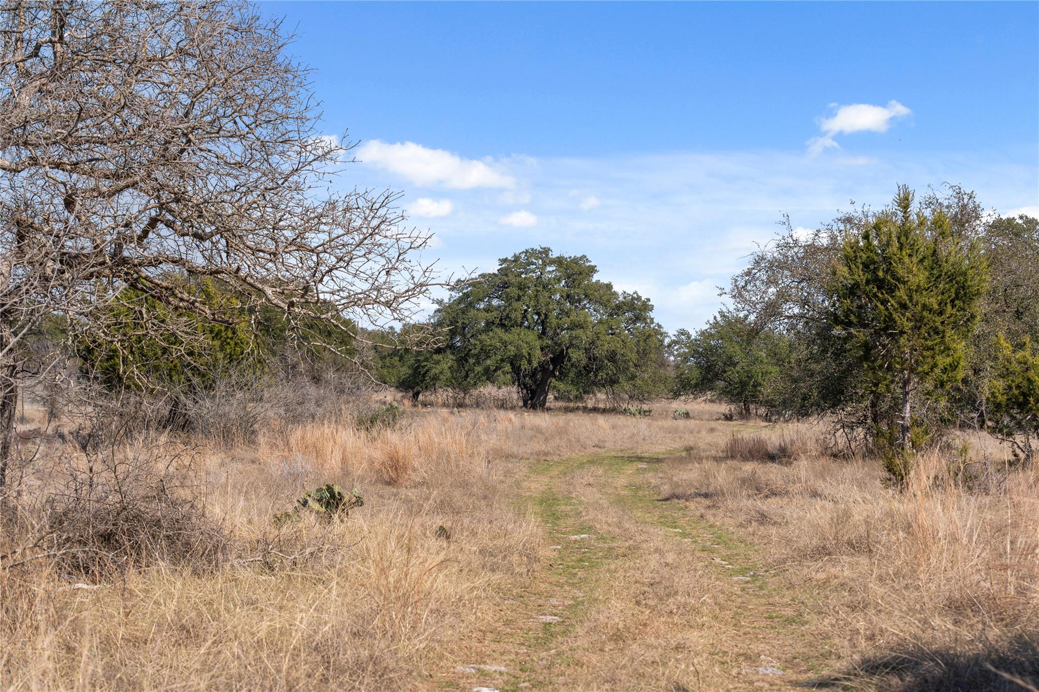 TBD Hidden Springs Dr, Salado, TX 76571
