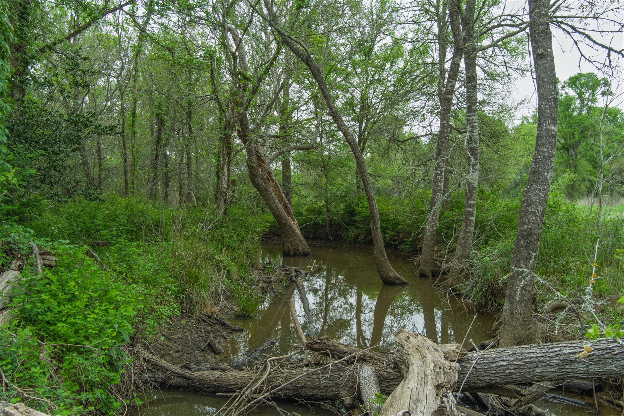 TBD League Line Rd, Smithville, TX 78957