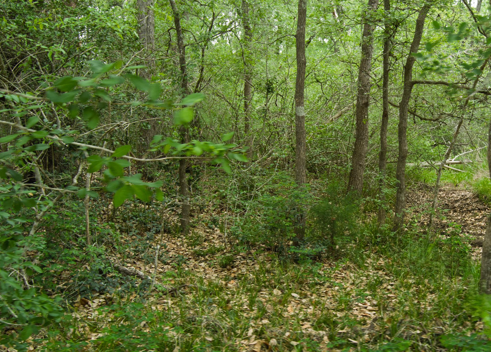 TBD League Line Rd, Smithville, TX 78957