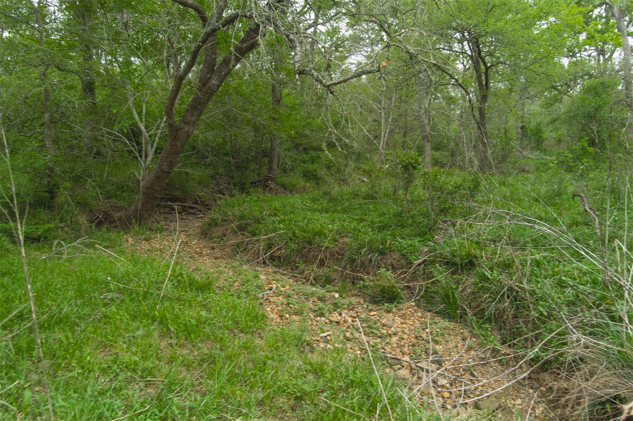 TBD League Line Rd, Smithville, TX 78957