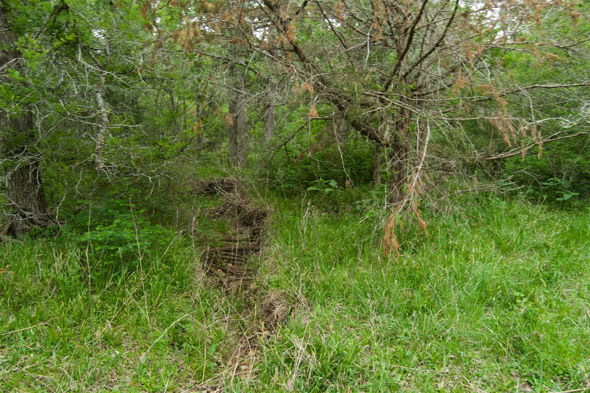 TBD League Line Rd, Smithville, TX 78957