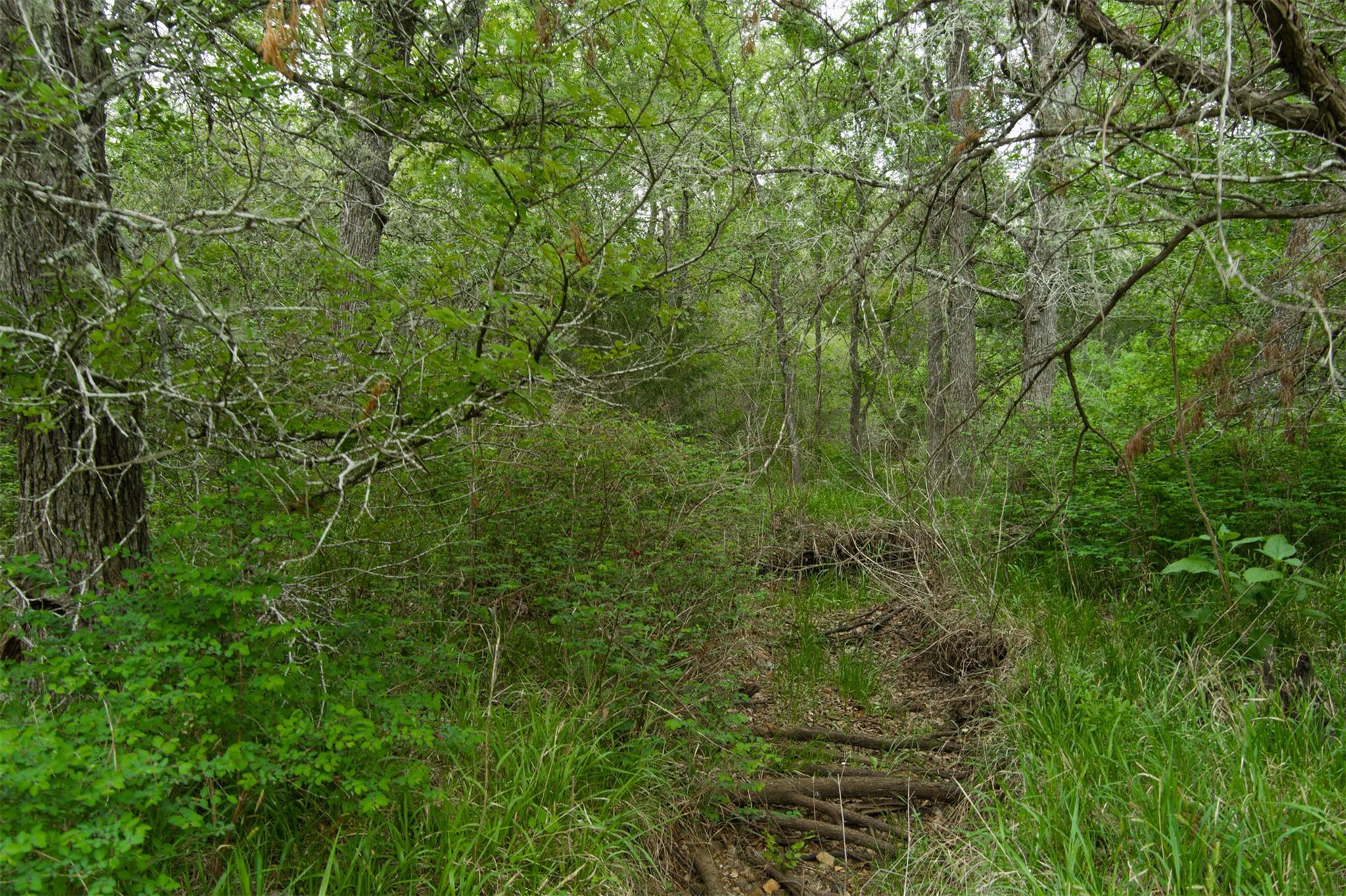 TBD League Line Rd, Smithville, TX 78957